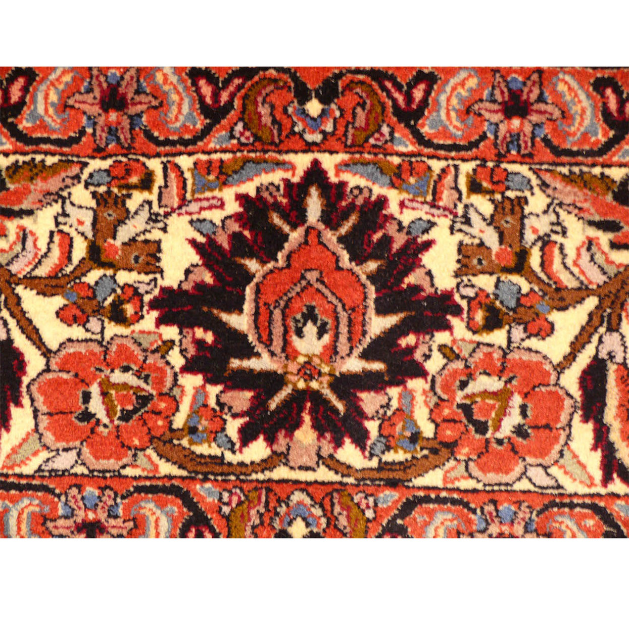 Experience the Beauty and Durability of a Persian Bijar Rug - 8x12 Size Available - border of persian bijar