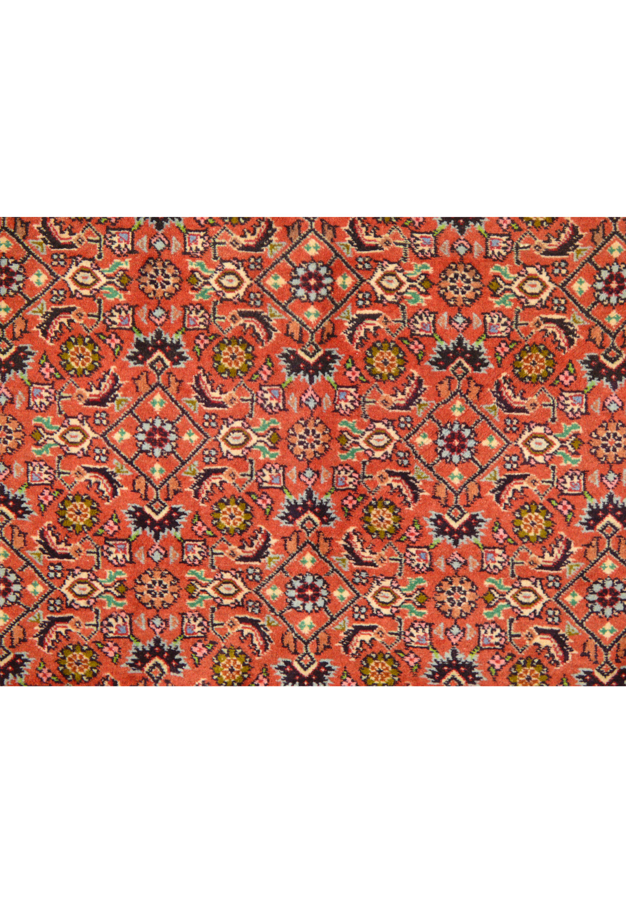 Angle view of the Persian Bijar Rug, revealing the texture and thickness of the weave
