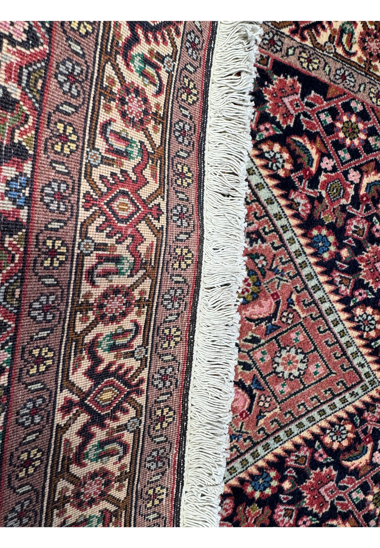 Edge detail of the Persian Bijar rug showing the fine fringe and the transition from the border to the rug's main field