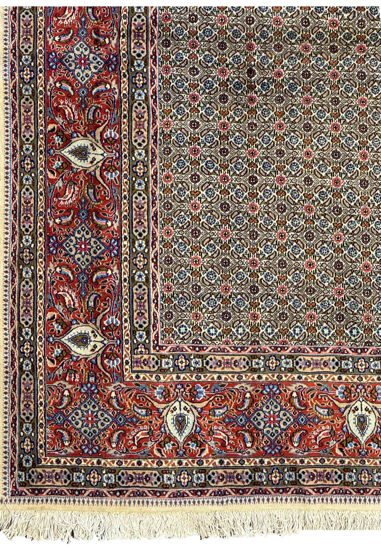 A portion of the Persian Moud Rug showcasing the transitional area between the central field and the elaborate border