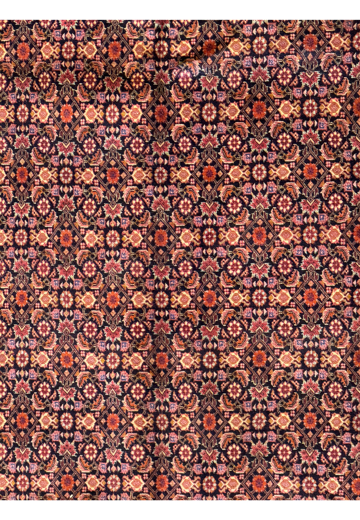 High-resolution image of the Bijar Rug's texture and weave, highlighting the craftsmanship quality