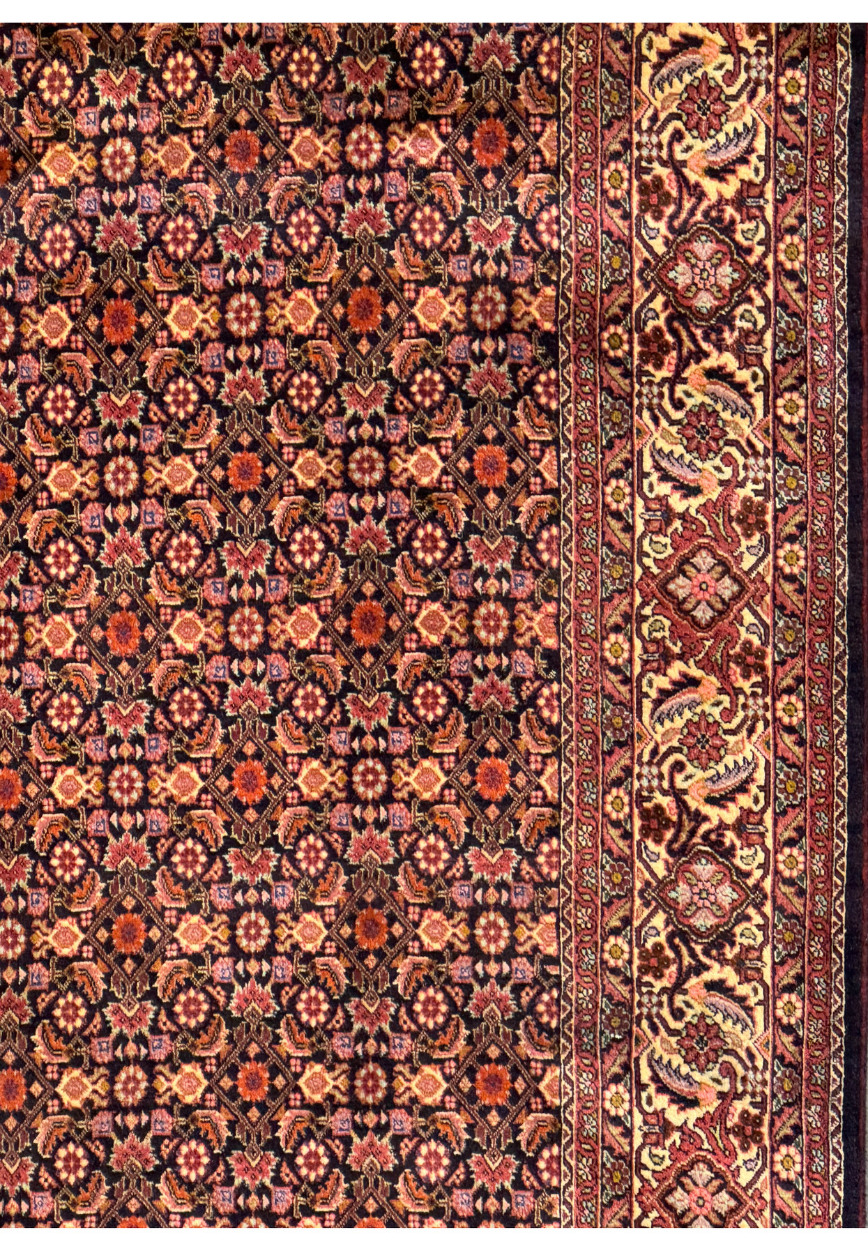 Angle shot of Persian Bijar Rug, illustrating the depth of design and color vibrancy