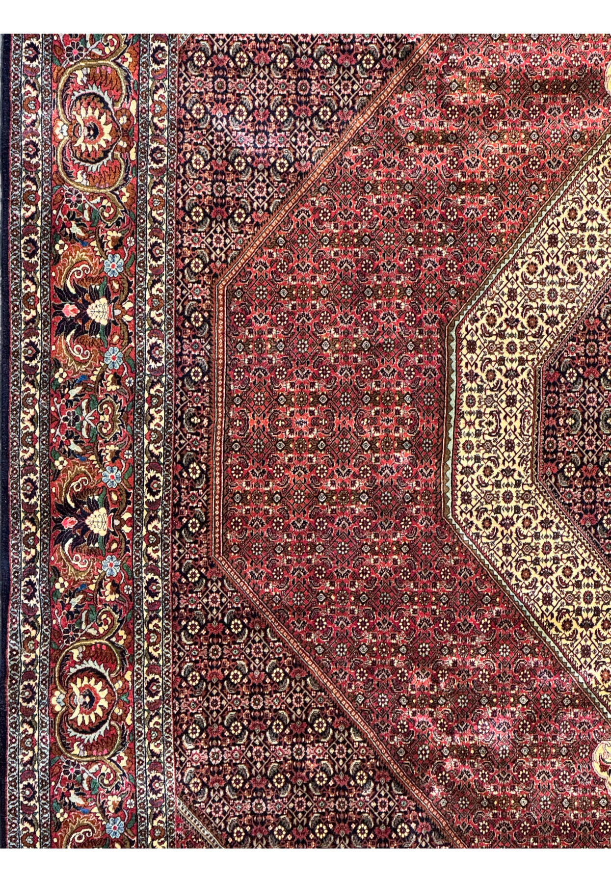 Close-up of the Persian Bijar rug's side border, displaying intricate floral and vine designs in a variety of vibrant colors