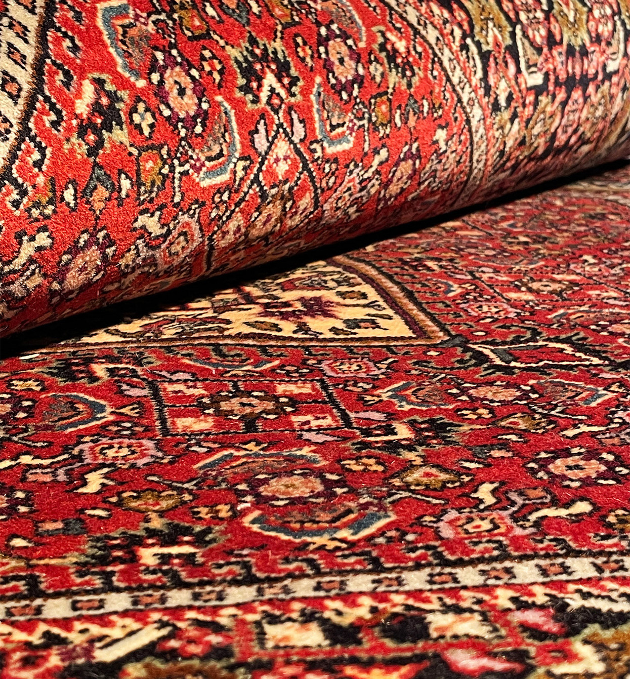 Close-up on the rolled Bijar rug, with a focus on the texture and pattern continuity.