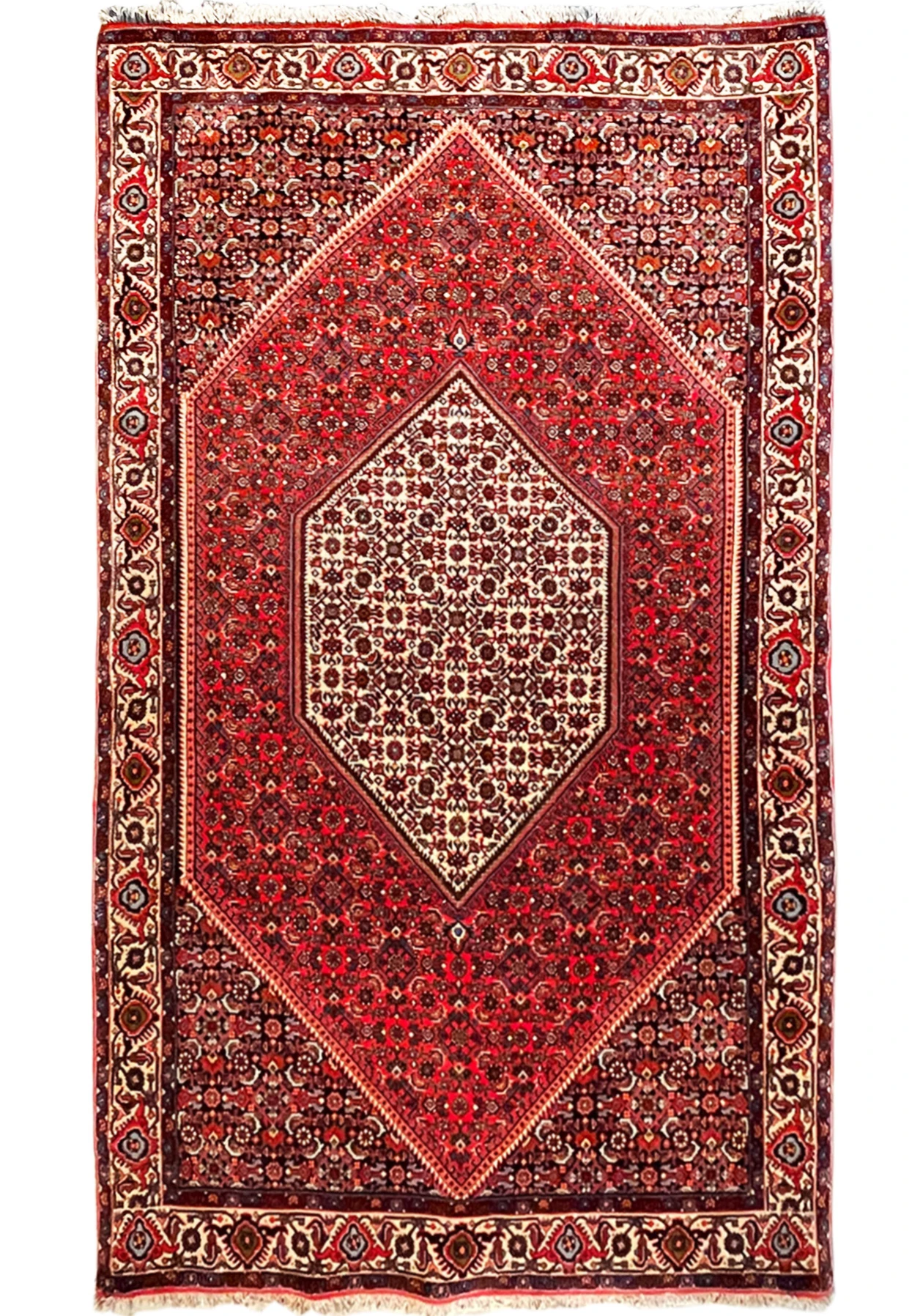 Full rug view on a white background, displaying the detailed borders and rich red field of the 4x6 Persian Bijar rug