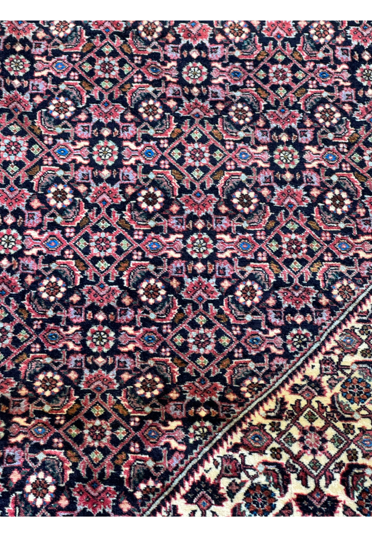 A close-up on the corner detailing of the Persian Bijar rug, illustrating the tight weave and rich color saturation of the wool.