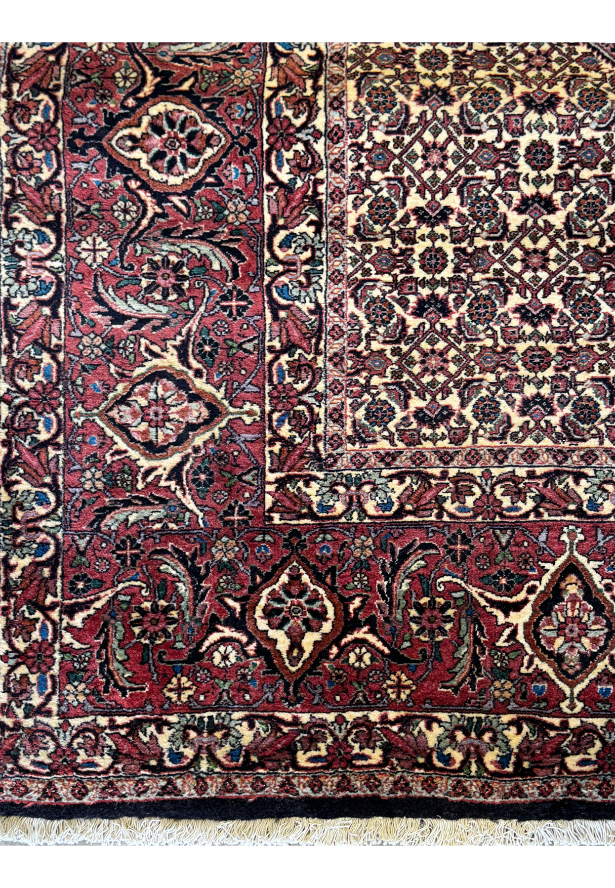 Close-up on the edge of a Persian Bidjar rug, emphasizing the tight weaving and the transition of patterns from the border to the central field