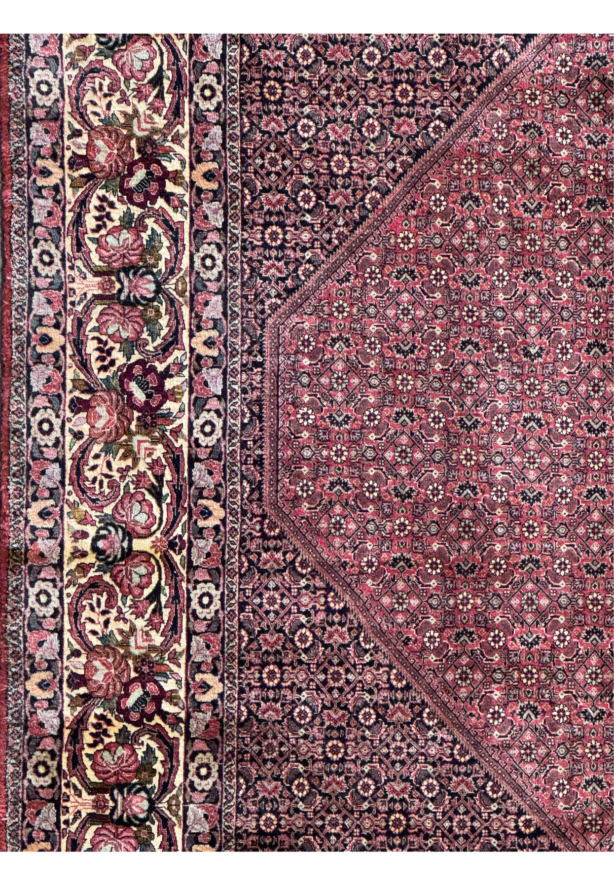 A close view of the elaborate primary border of the 11'6x11'6 Persian Bijar rug, adorned with serpentine floral motifs in a variety of colors against a beige background