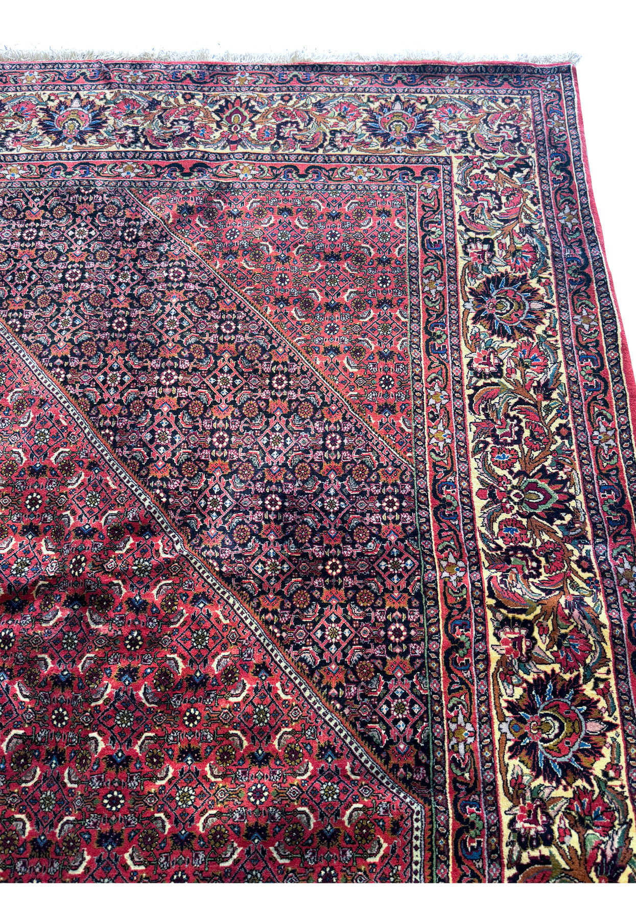 Detailed shot of the Persian Bijar Rug’s edge, showing the precision of the weave and the clean finish of the border