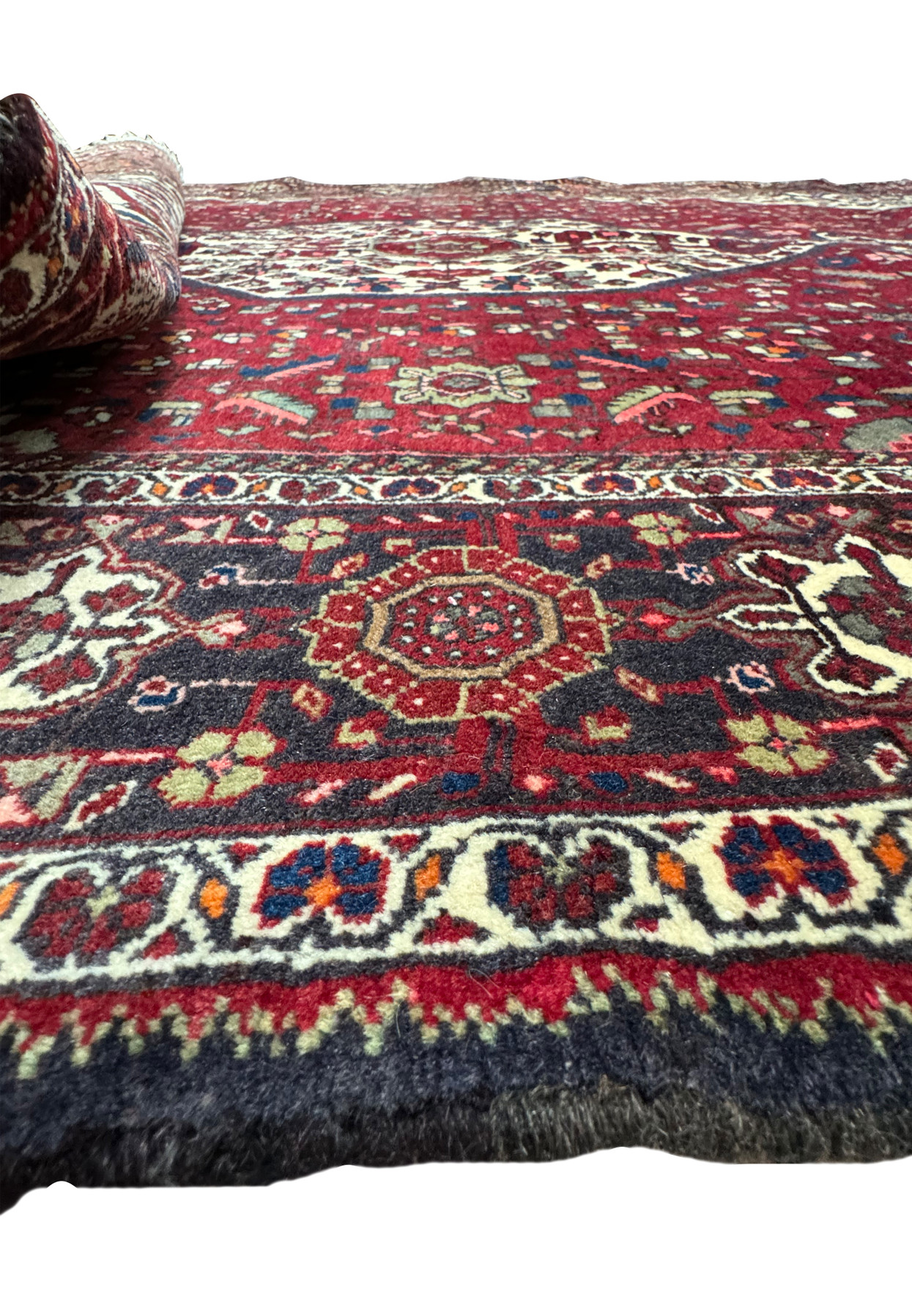 A side view of the Persian Qum Kork rug, with a portion rolled over to reveal the thickness and quality of the Kork wool weave.