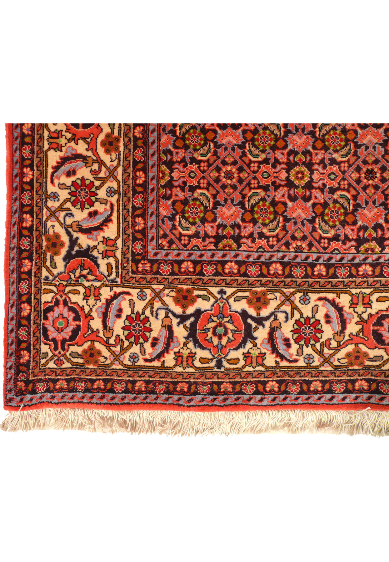 A detailed image of the border of the Persian Bijar rug, where the red background is adorned with a succession of elaborate flower and vine motifs in contrasting colors, framed by narrower guard borders with a detailed repeating pattern.
