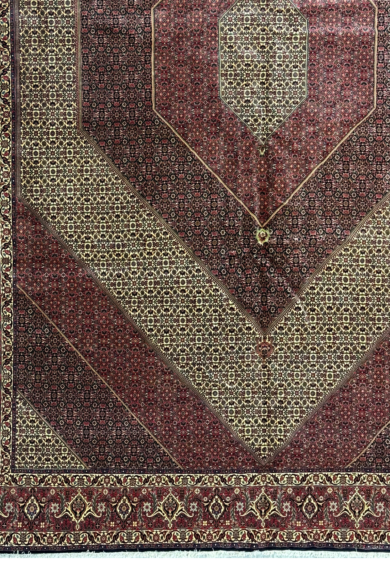 Close-up of floral motifs on the border of a 13x20 Bijar Persian Rug