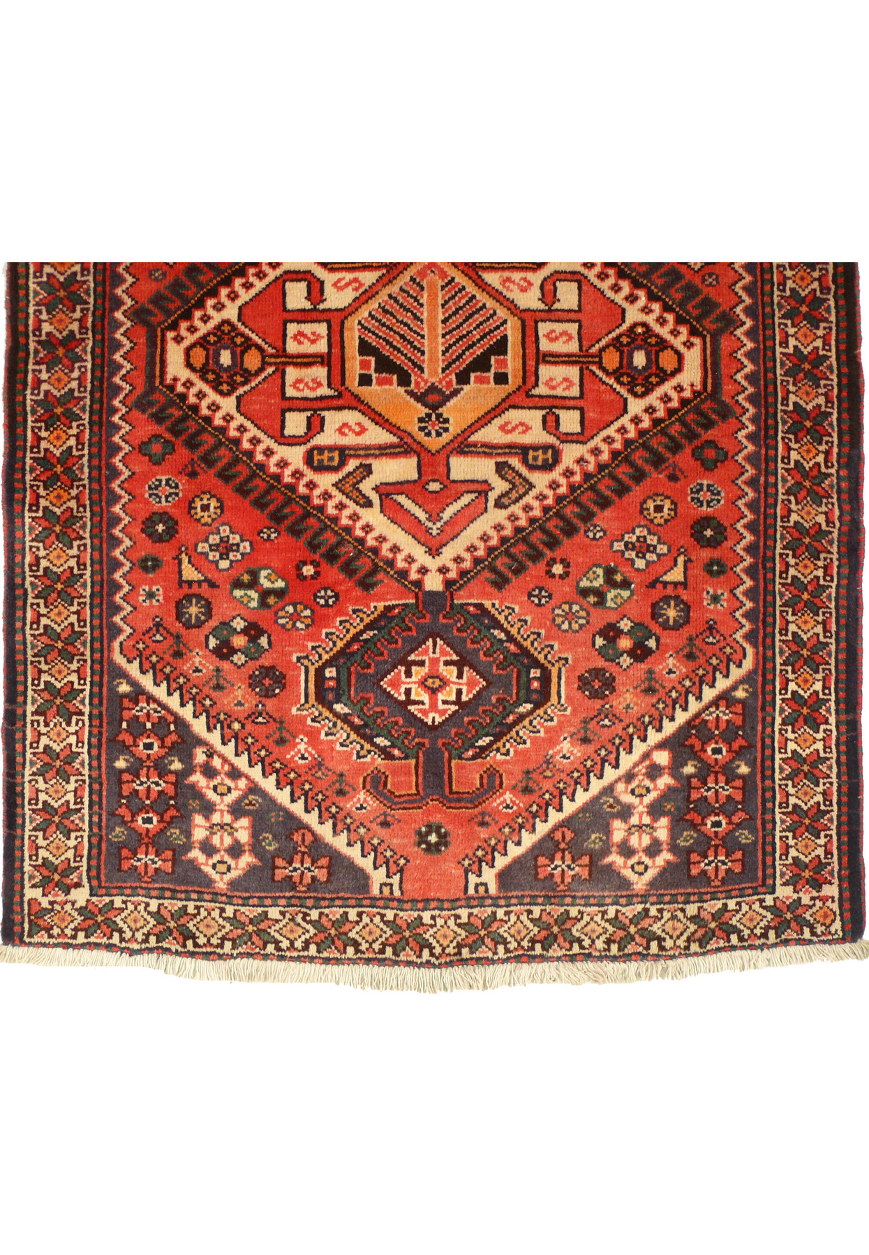 Close-up of the border of the Persian Bakhtiar runner rug, showcasing the intricate design elements and vibrant colors. The craftsmanship and attention to detail in the pattern are evident, reflecting the traditional Persian artistry.