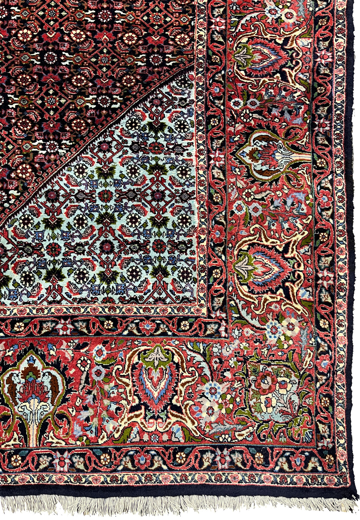 Wide border detail of a Persian Bijar rug featuring deep red ground, floral and geometric motifs, strong navy outlines, and traditional Kurdish weaving aesthetics.