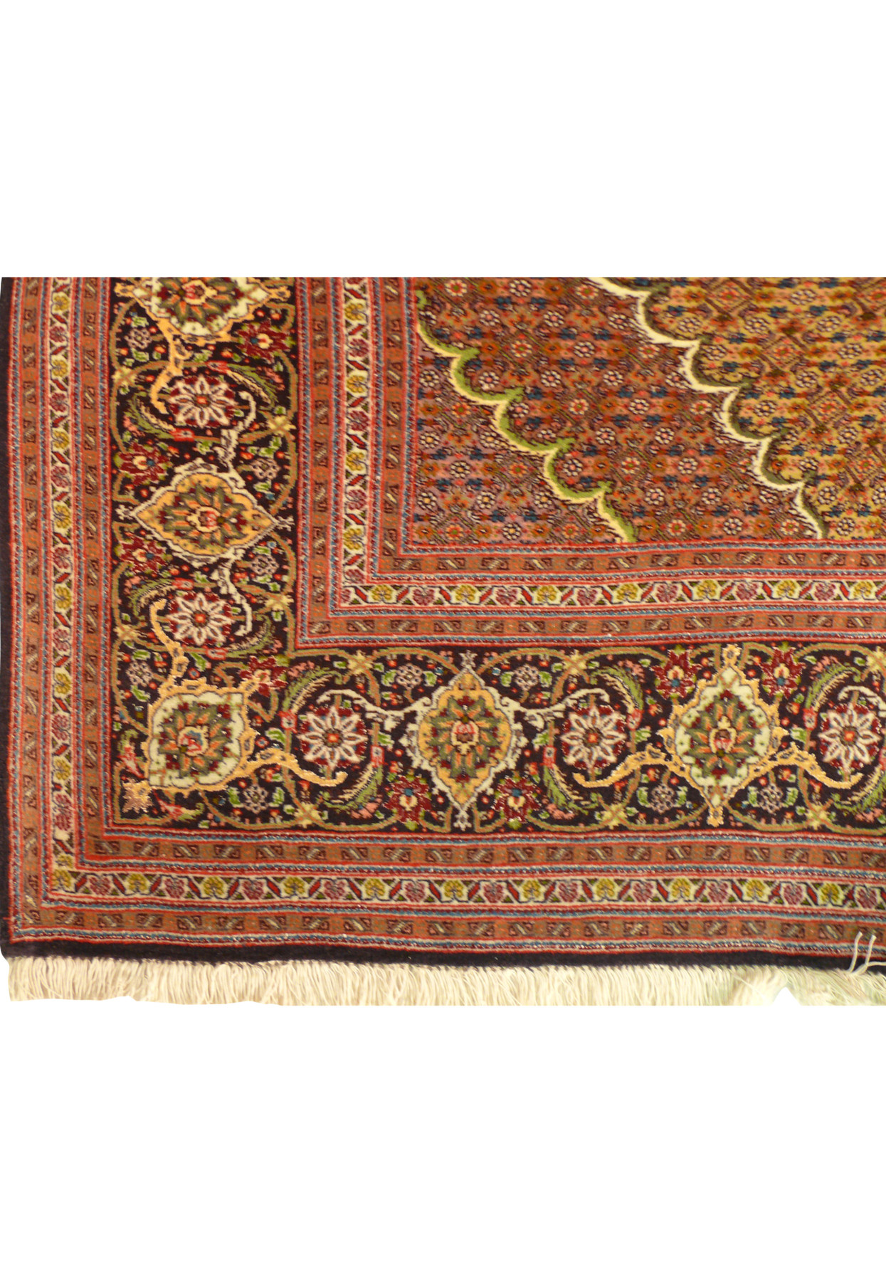 Artistic floral border on Tabriz Mahi 50 Raj Persian Rug