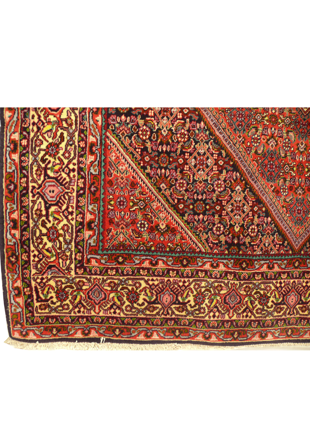 Corner detail of a 5 x 8'8 Persian Bijar Rug highlighting the floral and vine motifs.