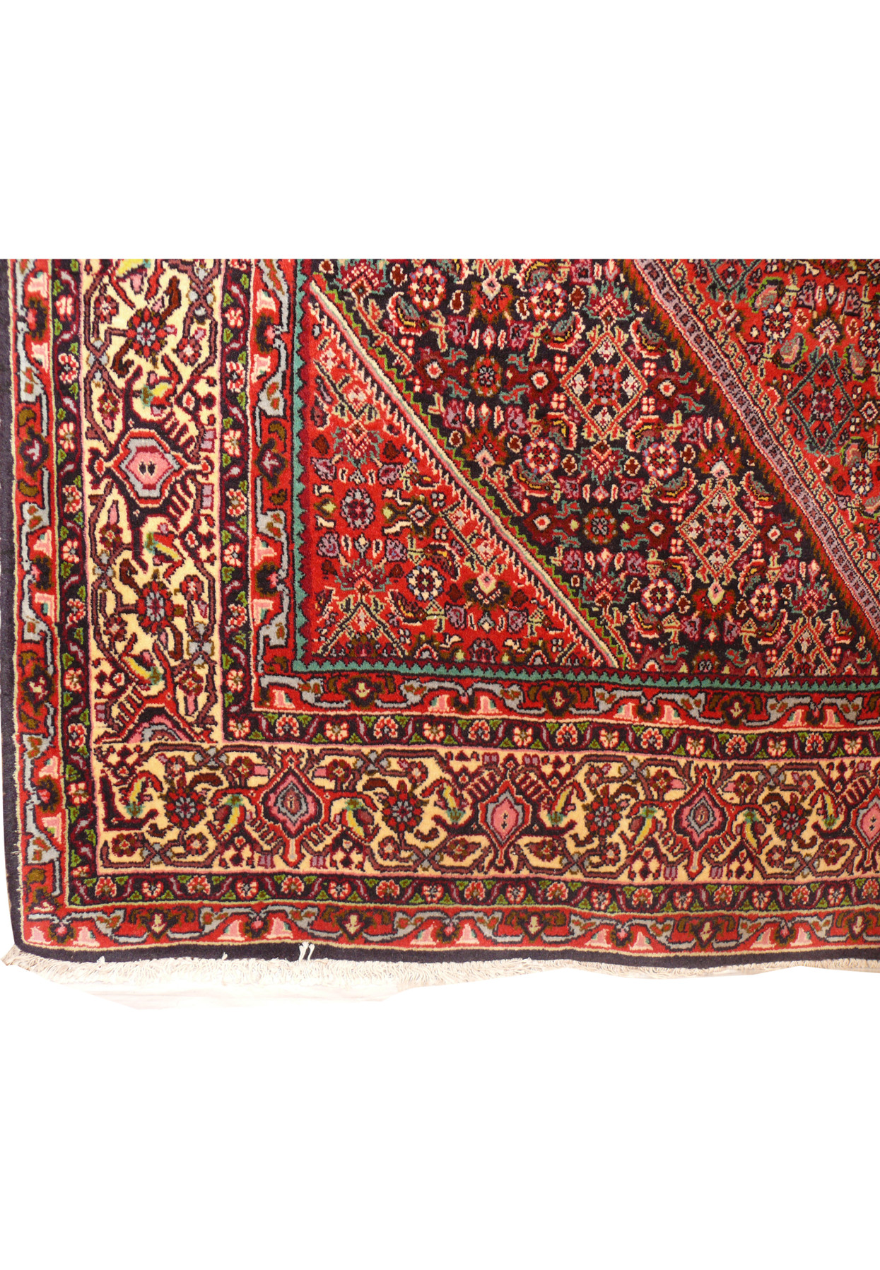 Detailed view of the intricate floral border on a 5 x 8'8 Persian Bijar Rug.