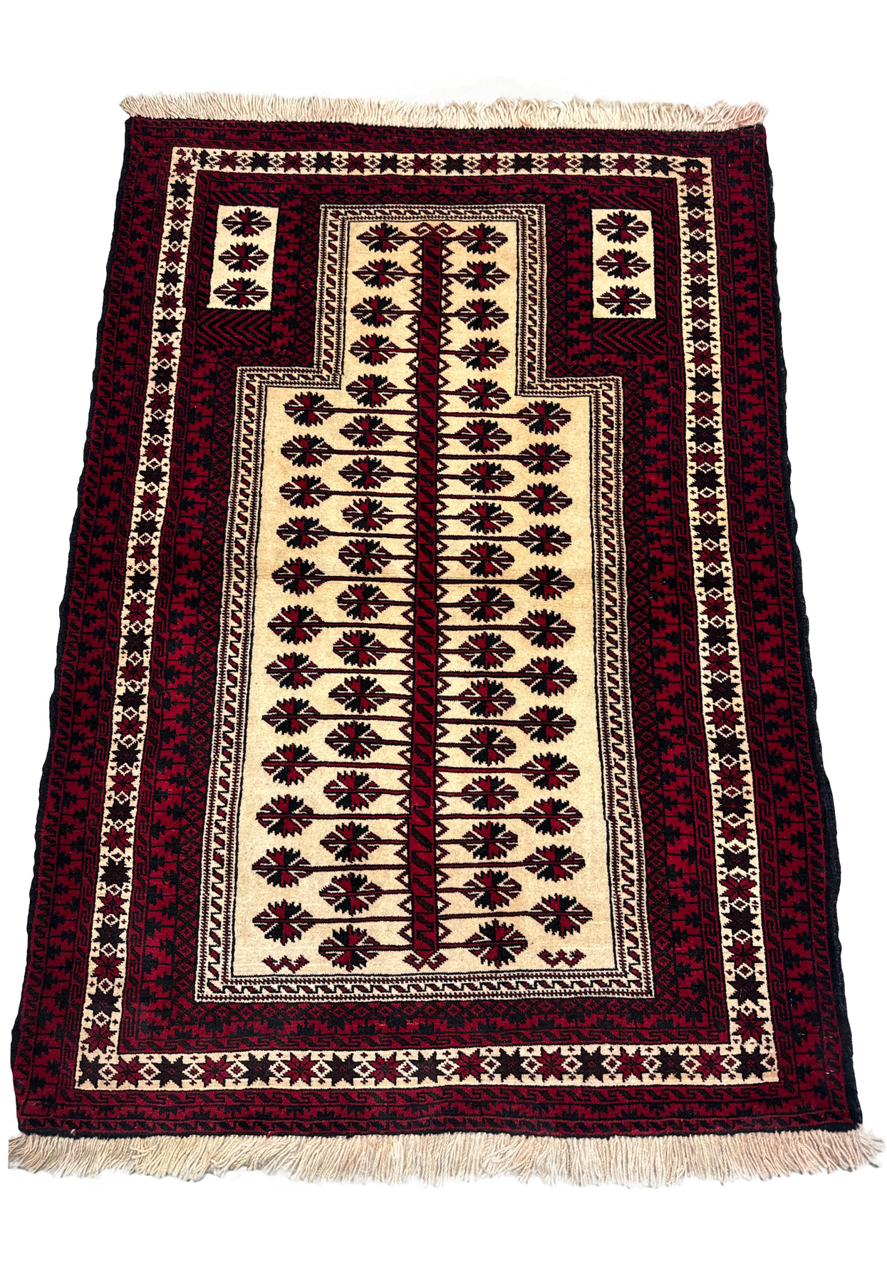Vertical full view of a 3'6 x 5'4 Persian Baluch Rug showcasing its detailed design.