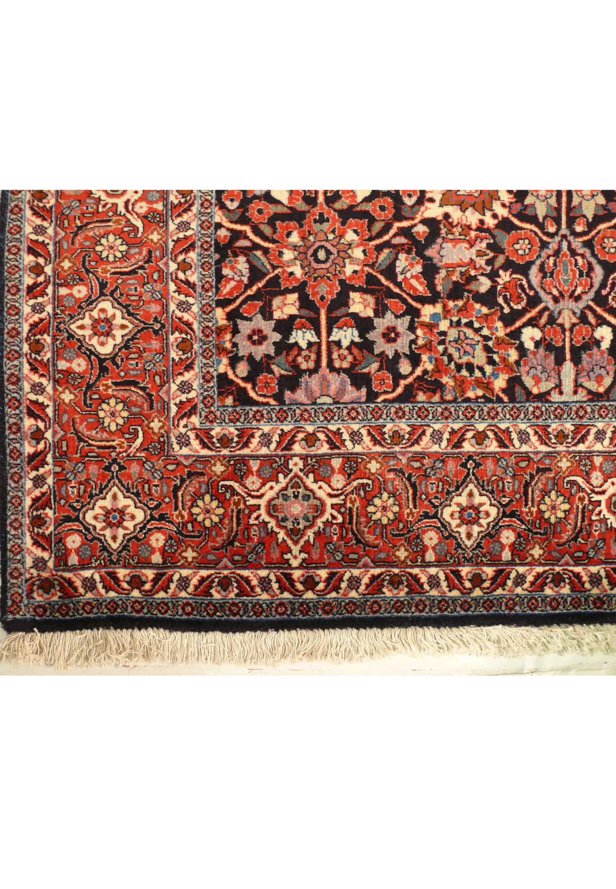 Border design of 6'6 x 8'4 Persian Bijar Rug