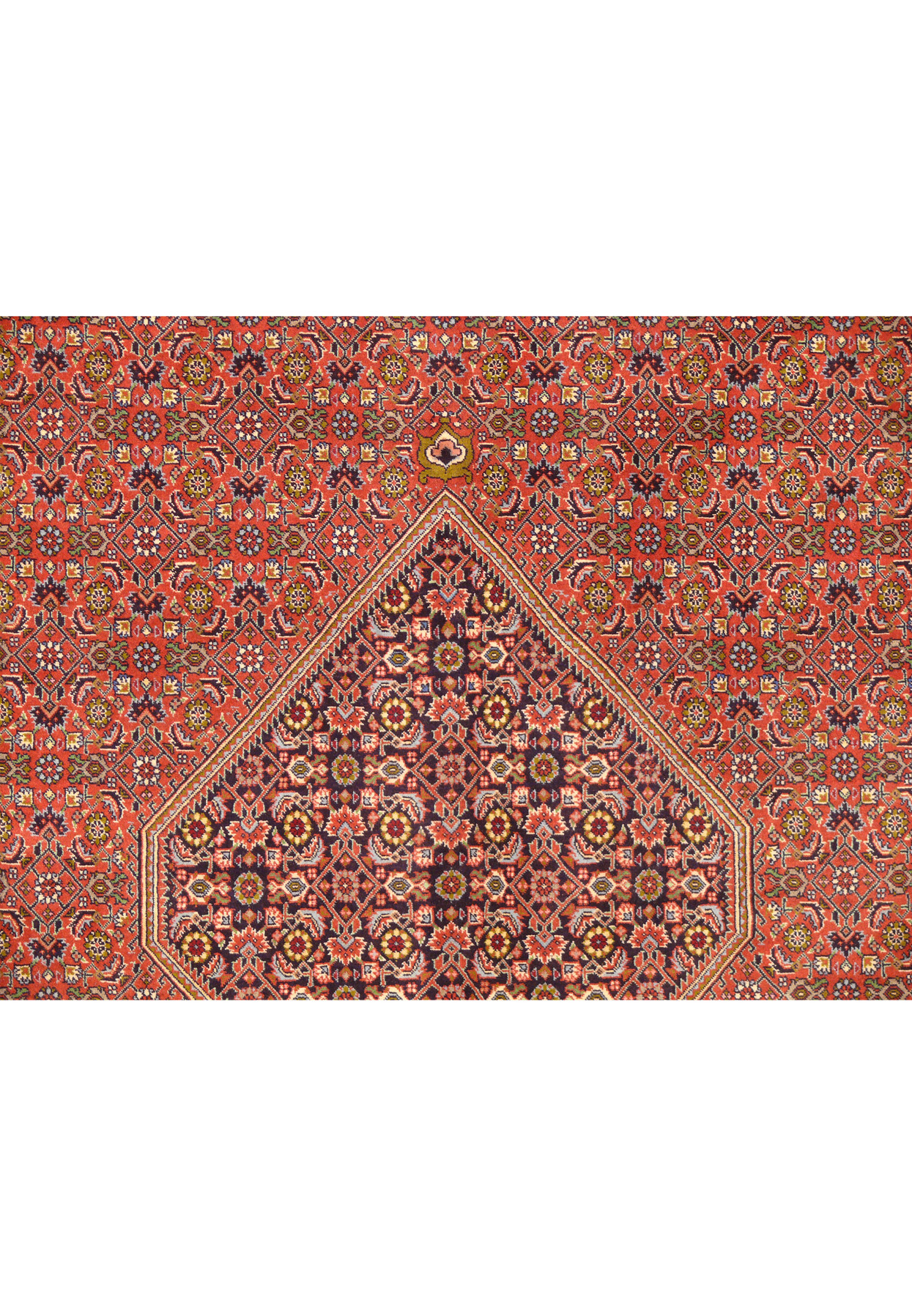 Central field of 8' x 11'2" Bijar Persian Iron Rug