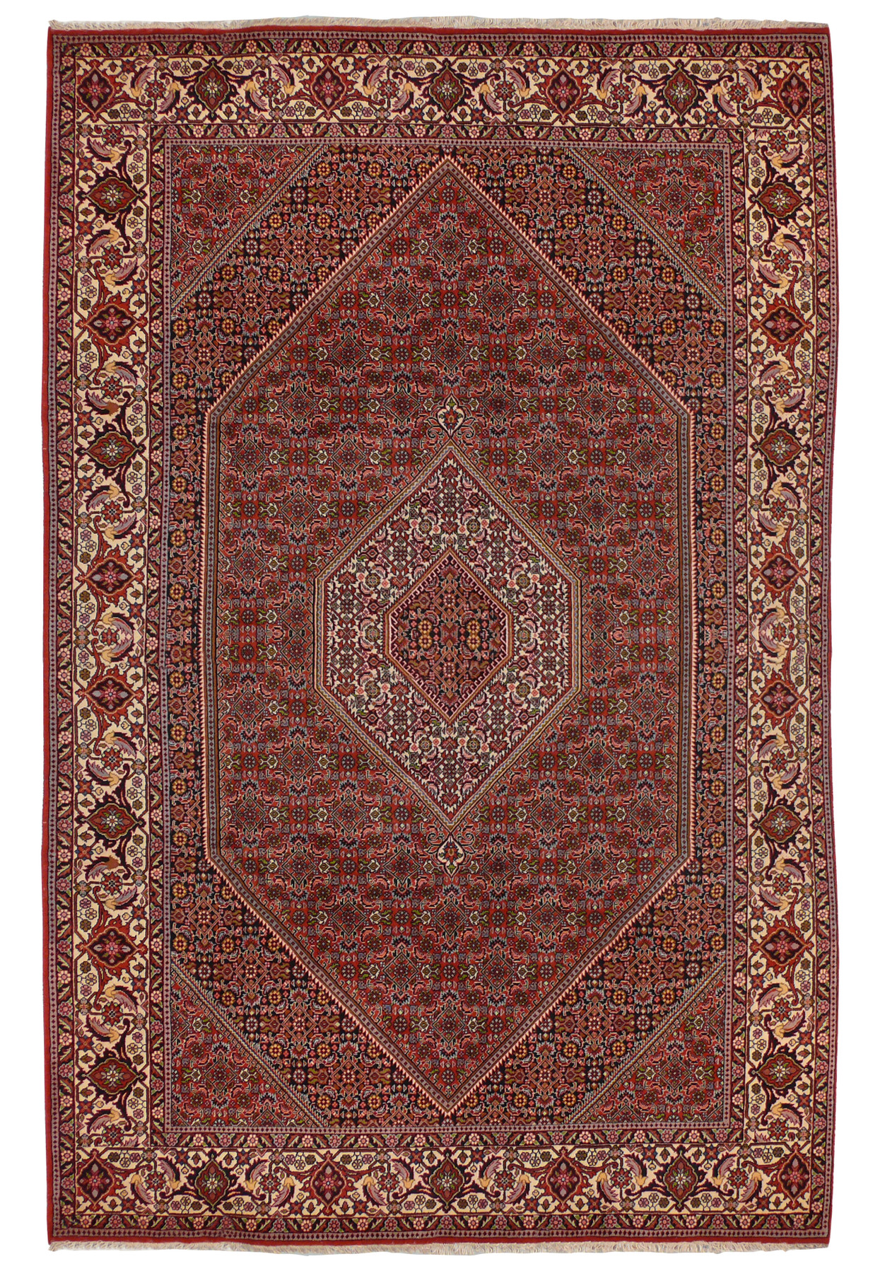 Full view of 6'6 x 10'2 Bijar Persian Rug displaying detailed patterns and motifs
