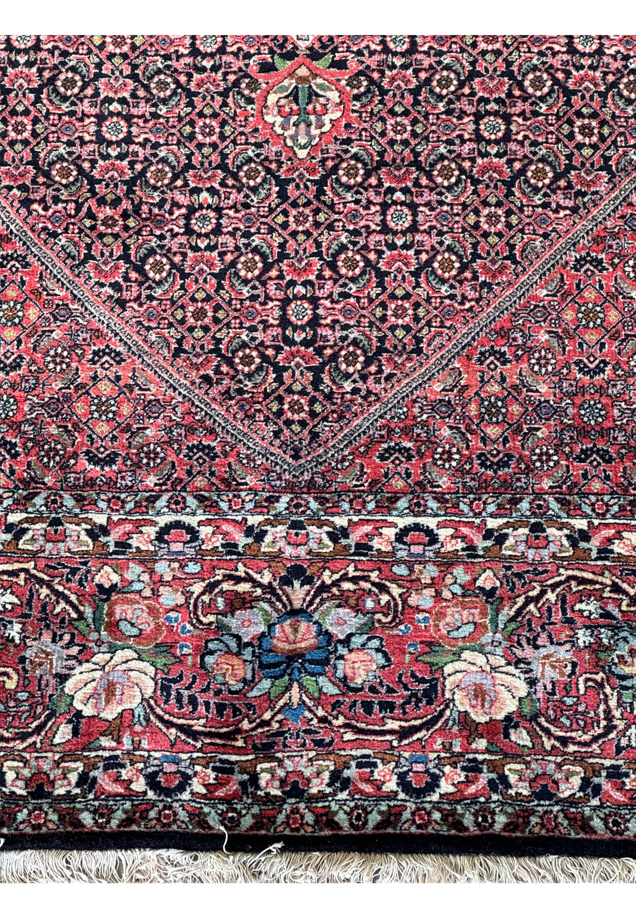 Close-up of 9'10" x 13'1" Bijar rug border with intricate floral and geometric motifs
