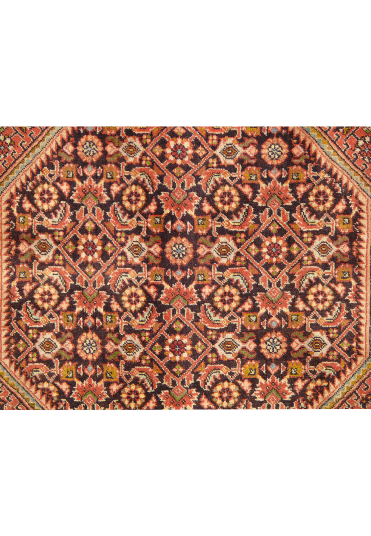 Detailed view of the Herati motif in an 8 x 11 Persian Bijar Rug, with traditional Persian design elements.