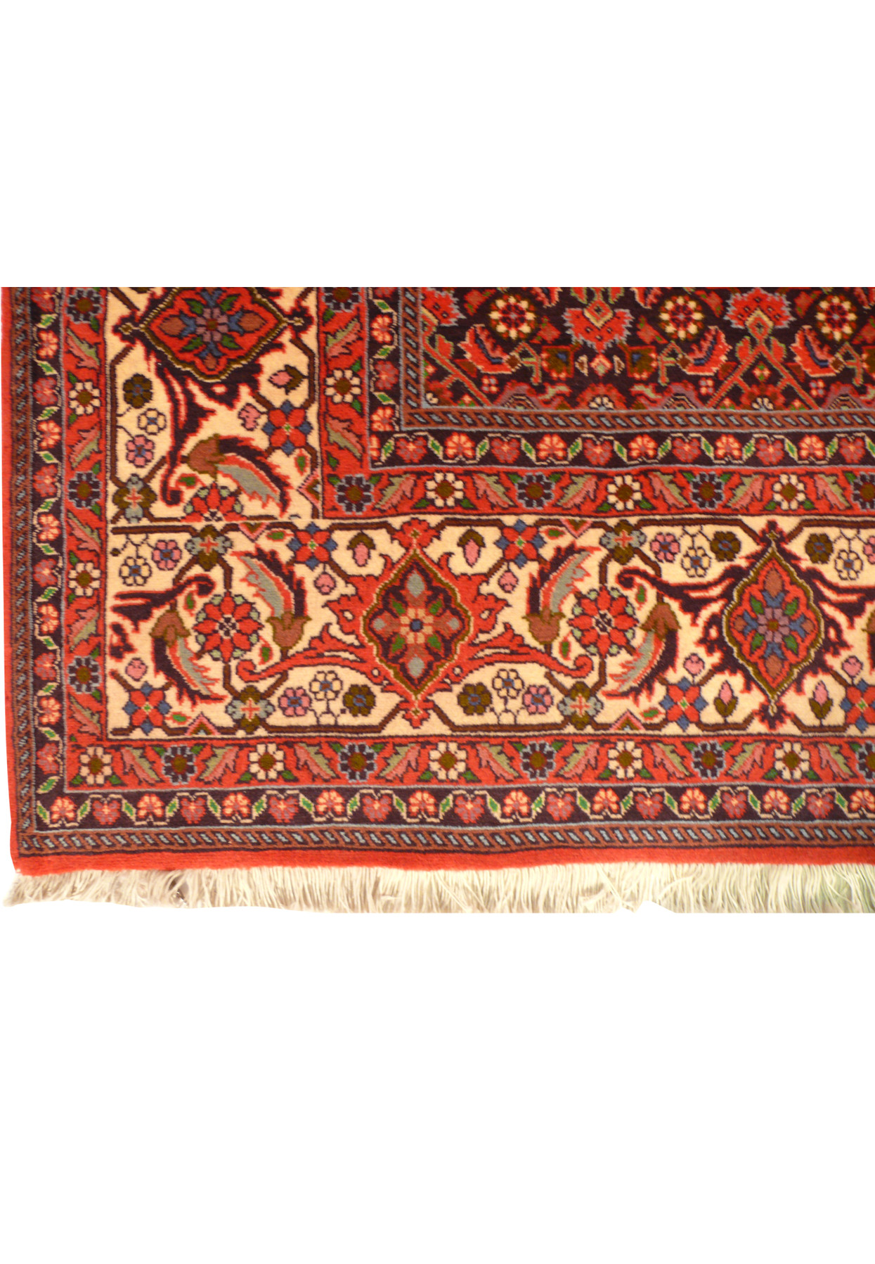 Alternate corner close-up highlighting palmette border motifs, rust guard bands, and secure fringe of Bijar rug.
