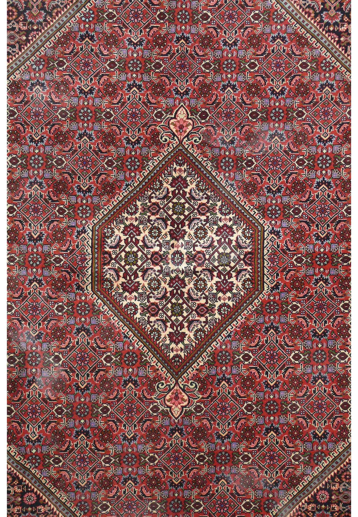 6'6 x 9'4 Persian Bijar Rug