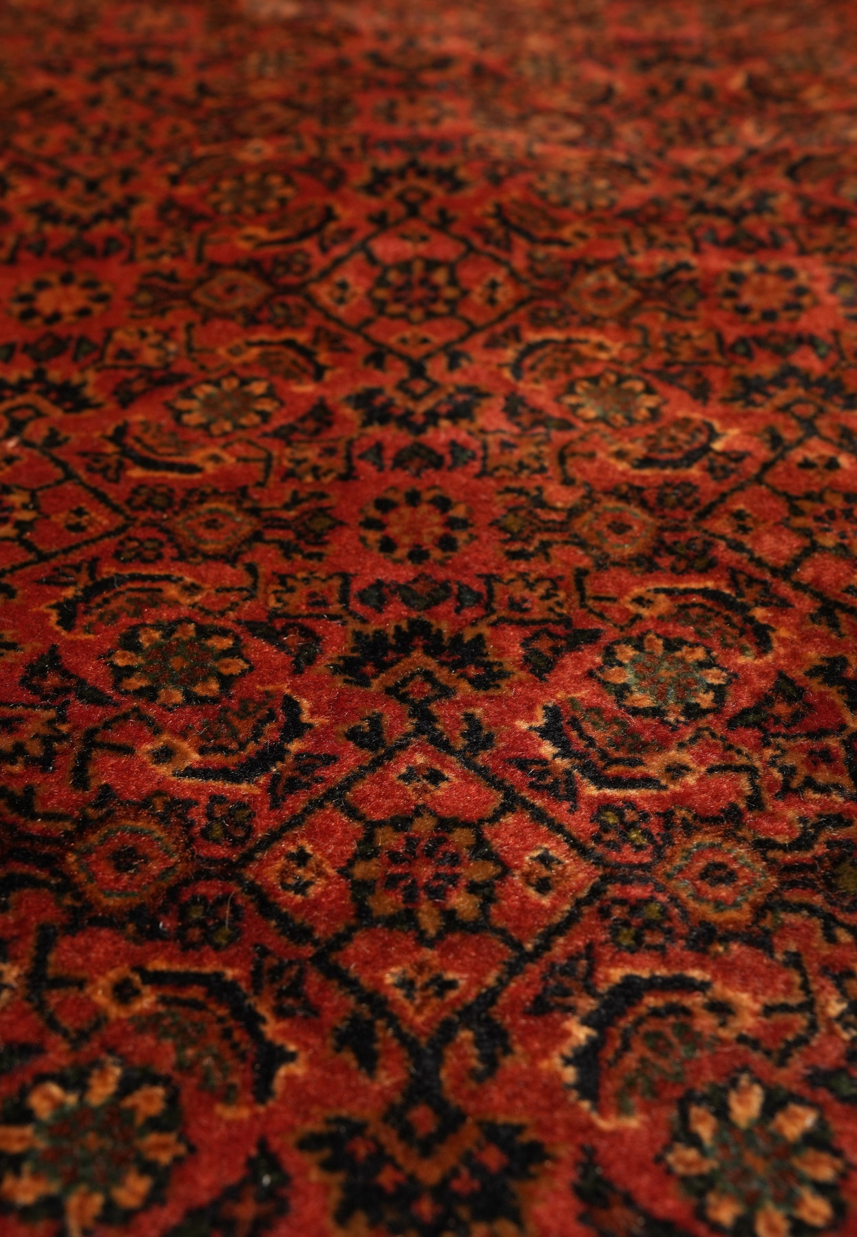 Texture of antique Bijar rug wool pile with strong knot density