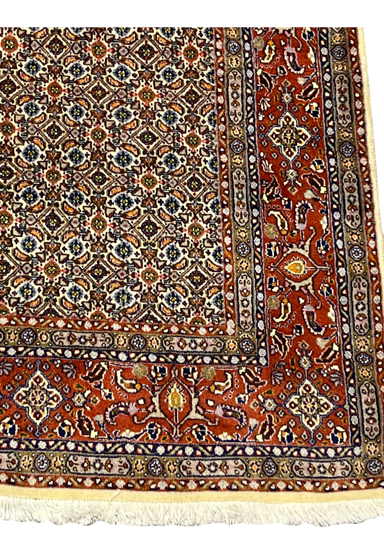 Detailed border with rust red field, floral palmettes, and vine patterns.