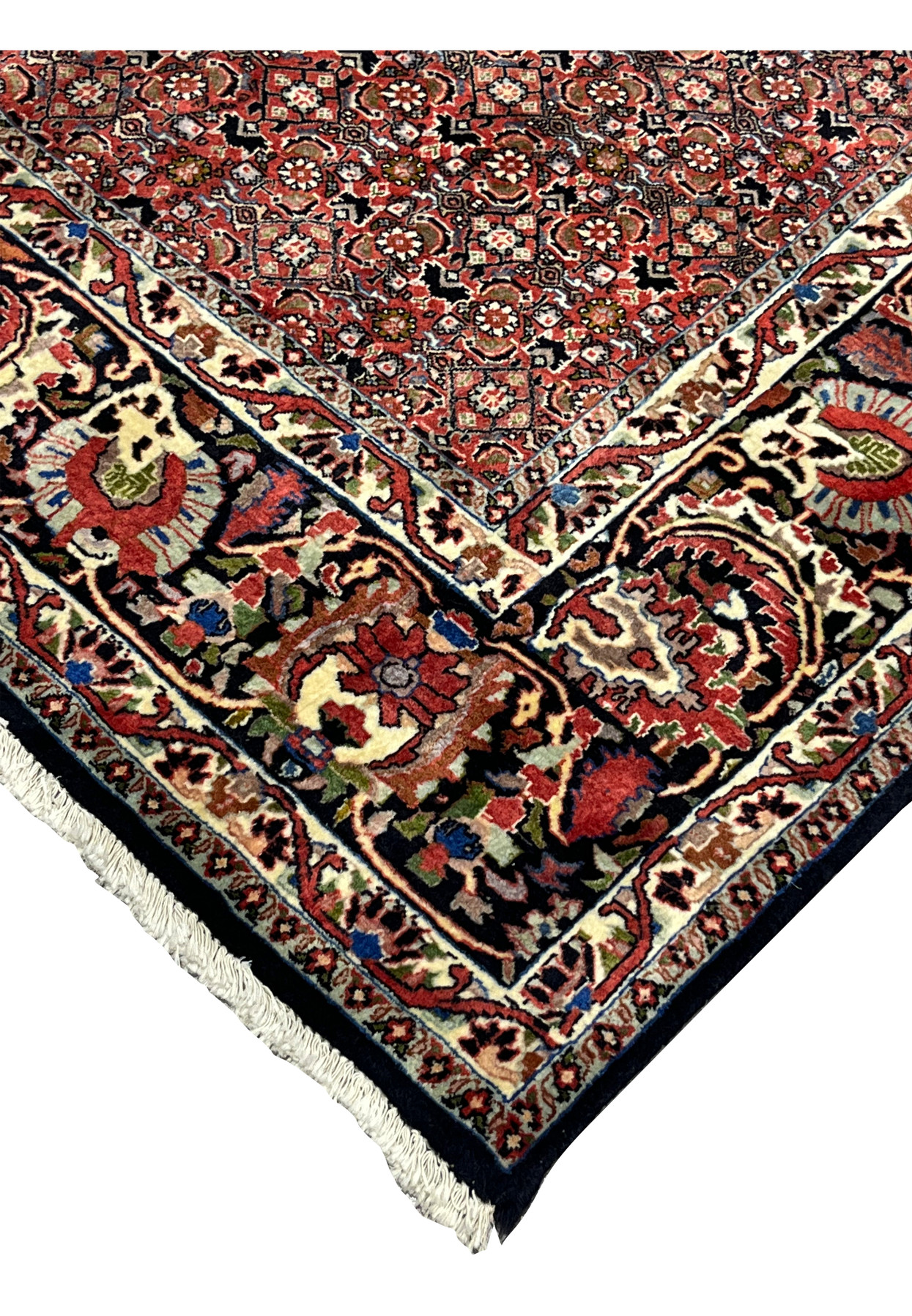 Detailed corner and border of Bijar Persian Rug with ivory and navy motifs