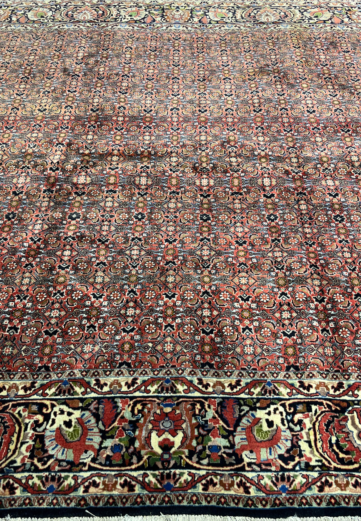 Close view of central allover field pattern of Persian Bijar Rug