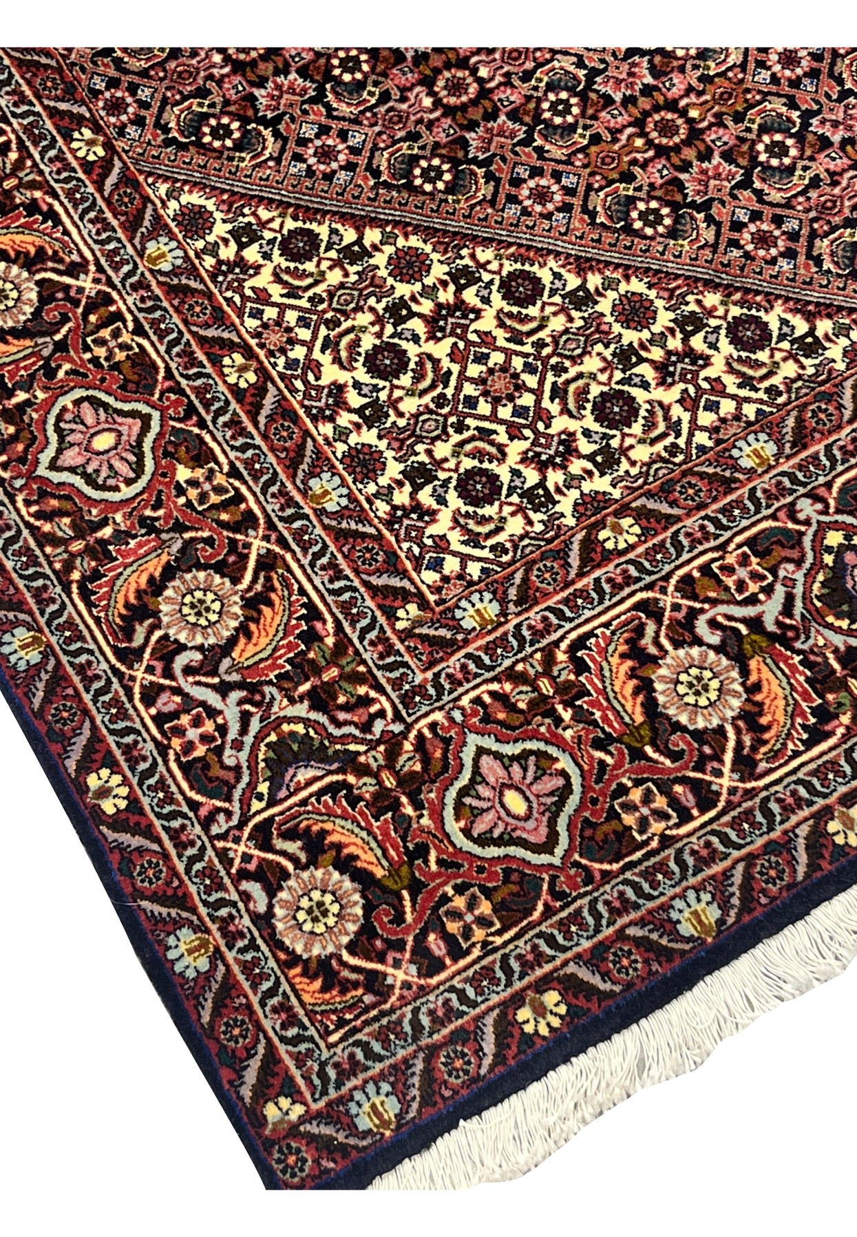 Edge view of Bijar Persian rug revealing tight knot construction, refined beige outlines, and fringe detail with rust, navy, and ivory floral accents.