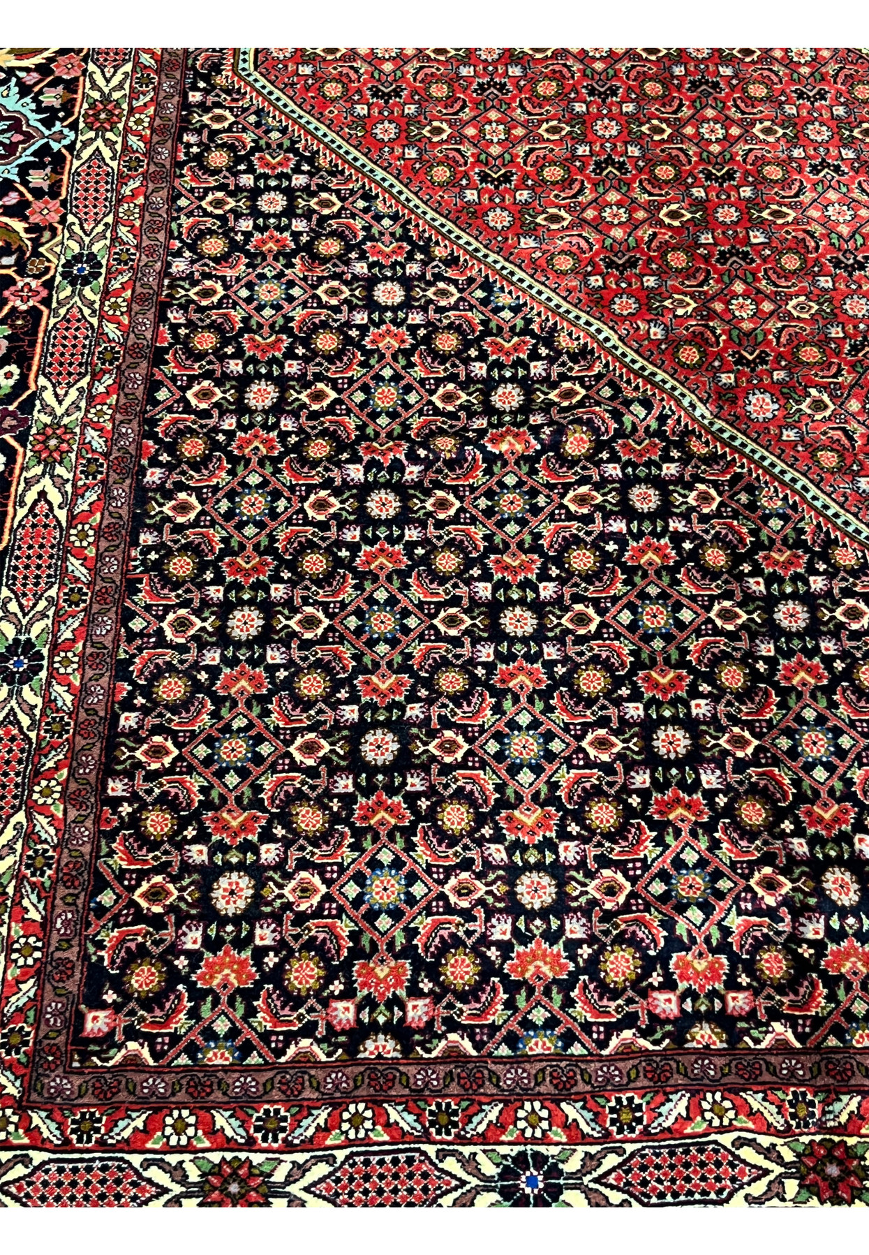inner border of 10x13 Bijar Persian rug with small geometric and floral accents