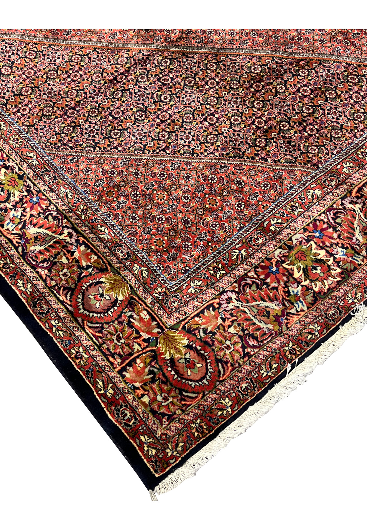 Corner view showing fringe and multicolor floral border on the Bijar Persian Iron Rug.