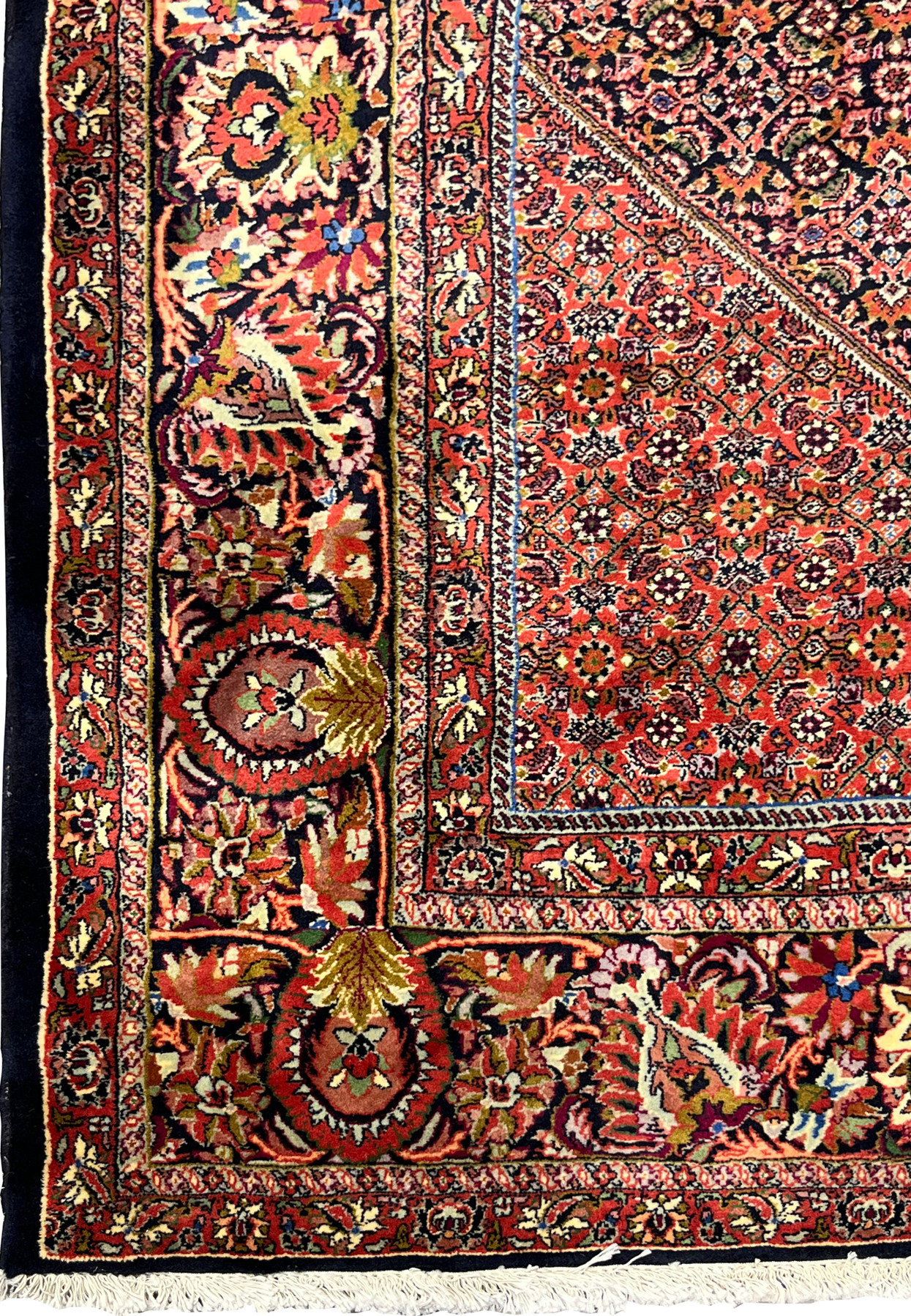 Close-up of the floral border with rich colors on the Bijar Persian Iron Rug.