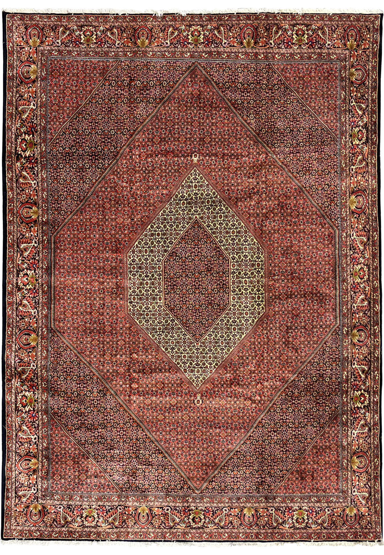 Full view of 9'9 x 13'2 Bijar Persian Iron Rug with brick red field, navy details, and cream medallion.