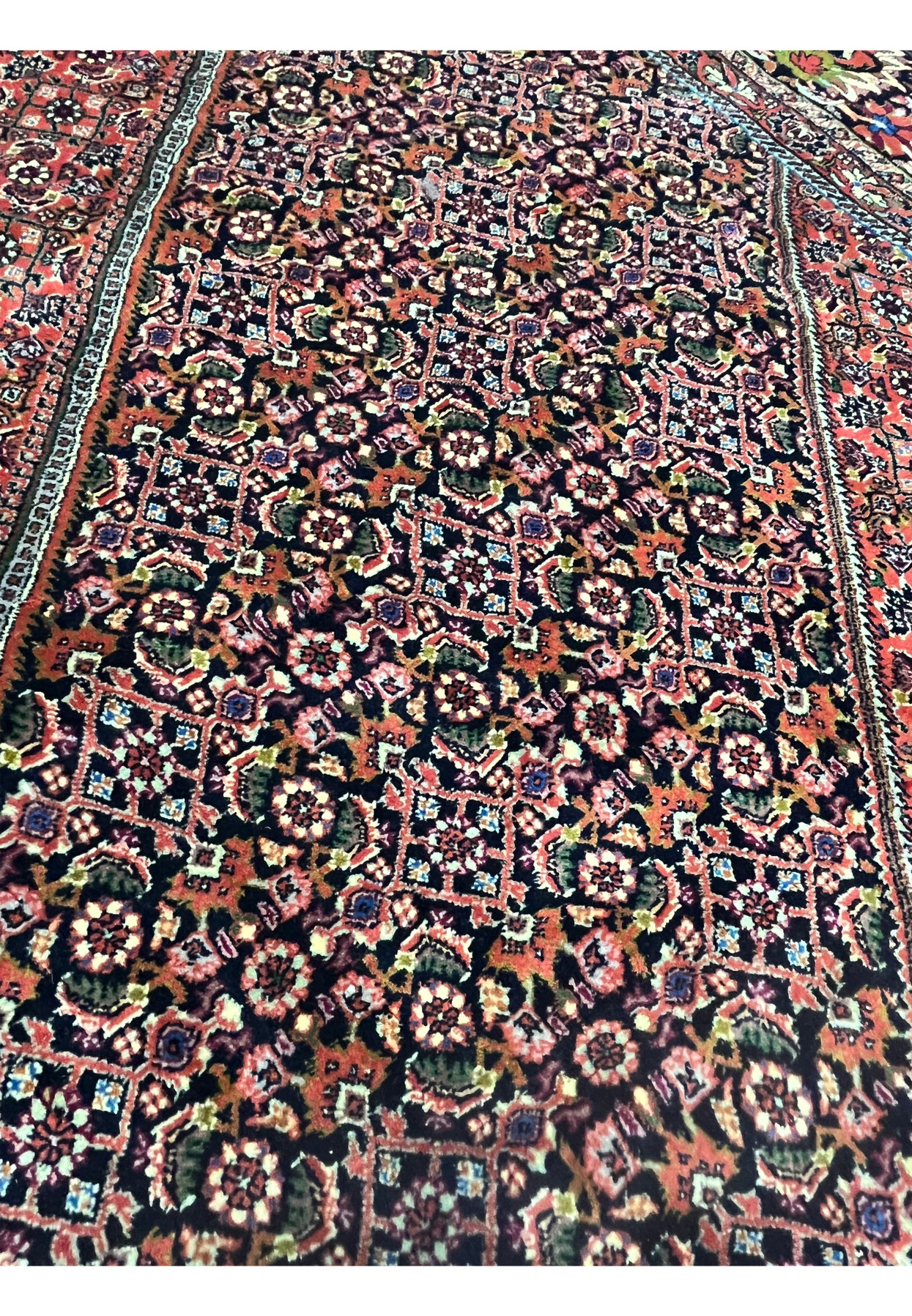 Close-up of navy and red Bijar motifs with layered floral and geometric details.