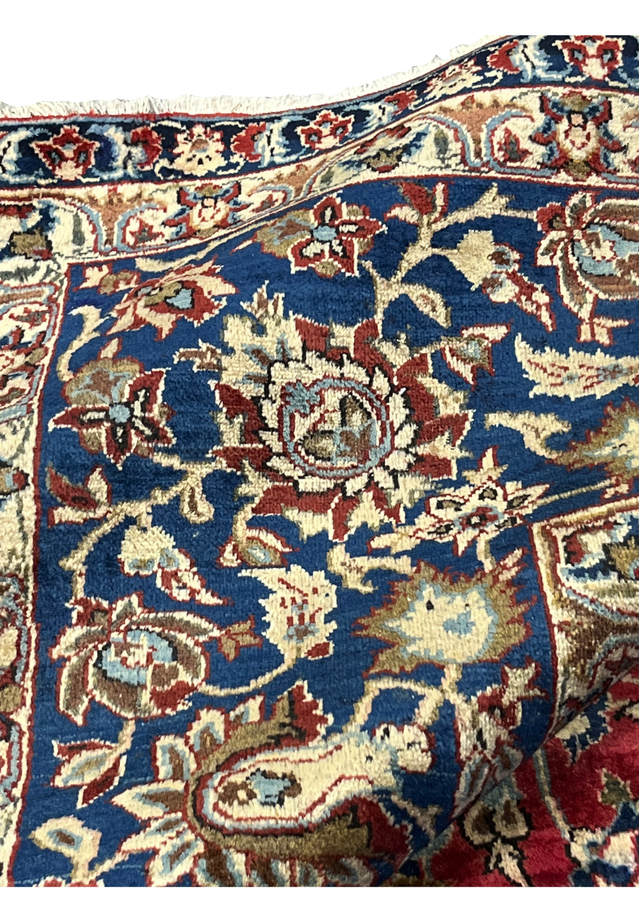 Edge closeup of a Najafabad Persian rug showing the intricate blue border and crisp floral detailing.