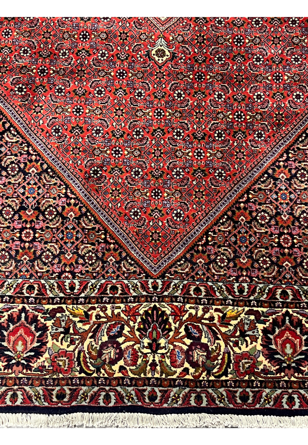 Lower floral border of Persian Bijar rug with vine and palmette motifs