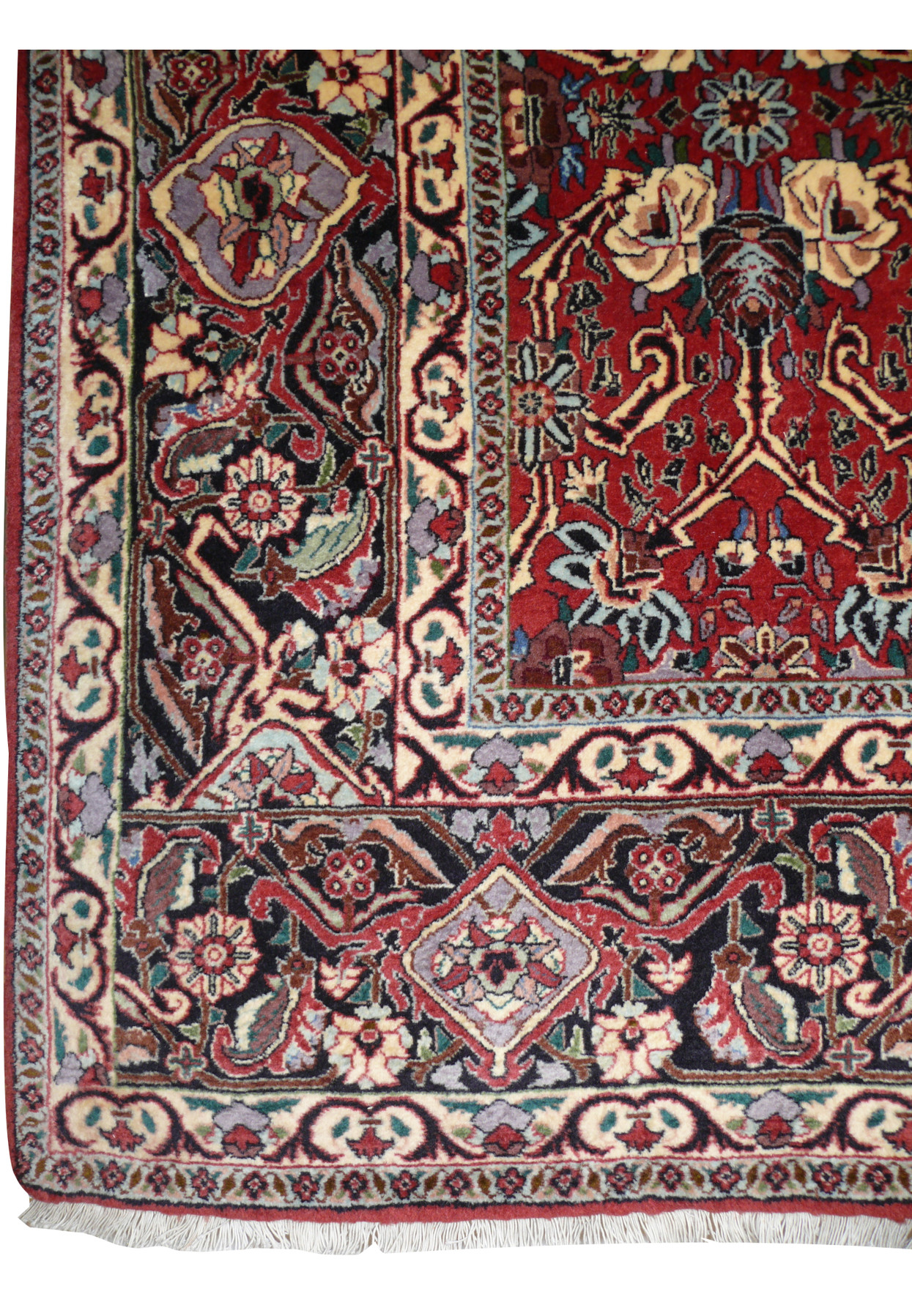 Border detail of Bijar iron rug with dark navy and oxblood red frame, ivory rosettes, diamond medallions, and vine scrolls