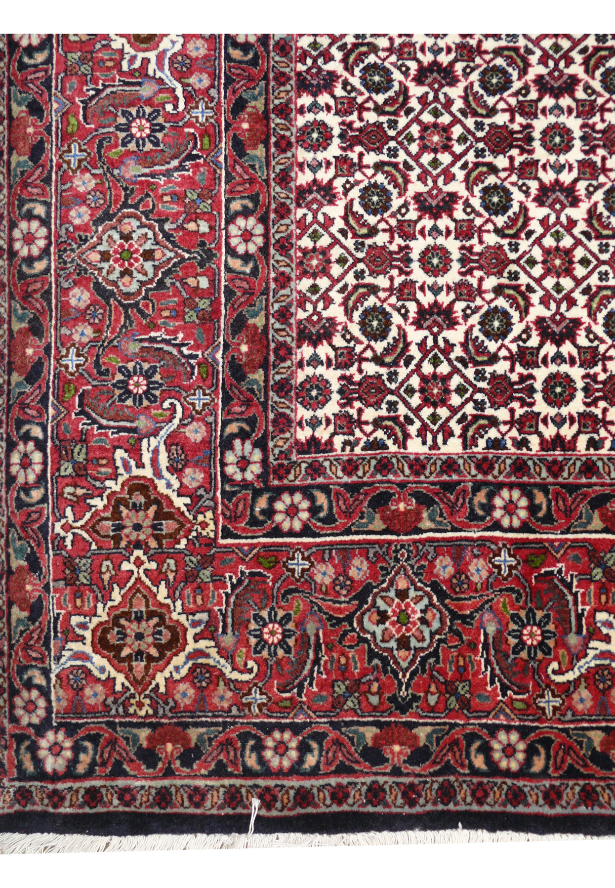 Detailed border view of Bijar Persian rug showing red background, navy outlines, cream flowers, and scrolling vinework