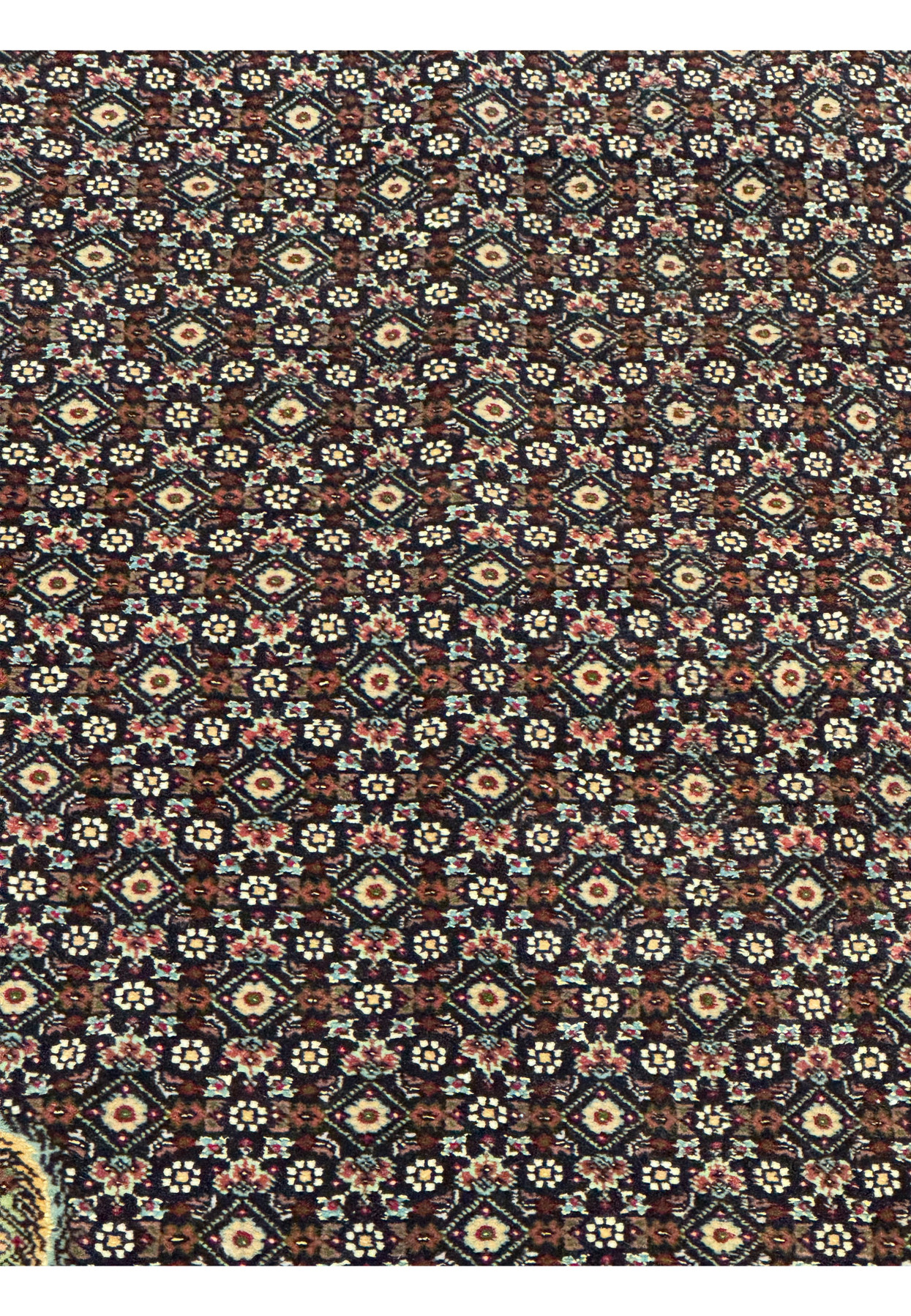 Detailed view of the classic mahi fish pattern on an 11.5 x 16.5 Persian Tabriz 50 Raj rug, highlighting precision weaving, symmetrical geometry, and rich jewel toned accents