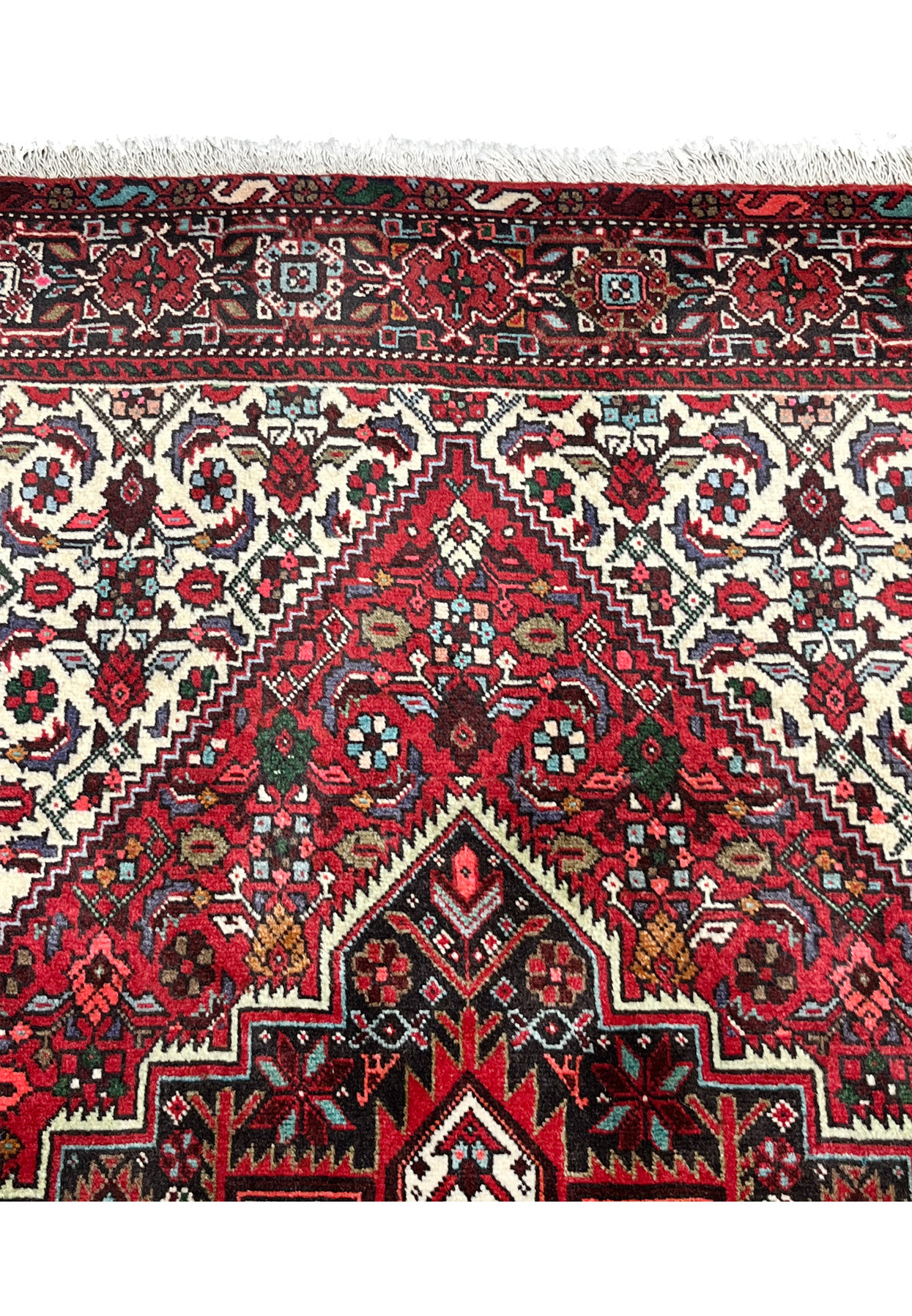 Upper border close-up of a Persian Gholtogh rug featuring geometric tribal motifs, ivory detailing, navy outlines, and crisp hand-knotted definition