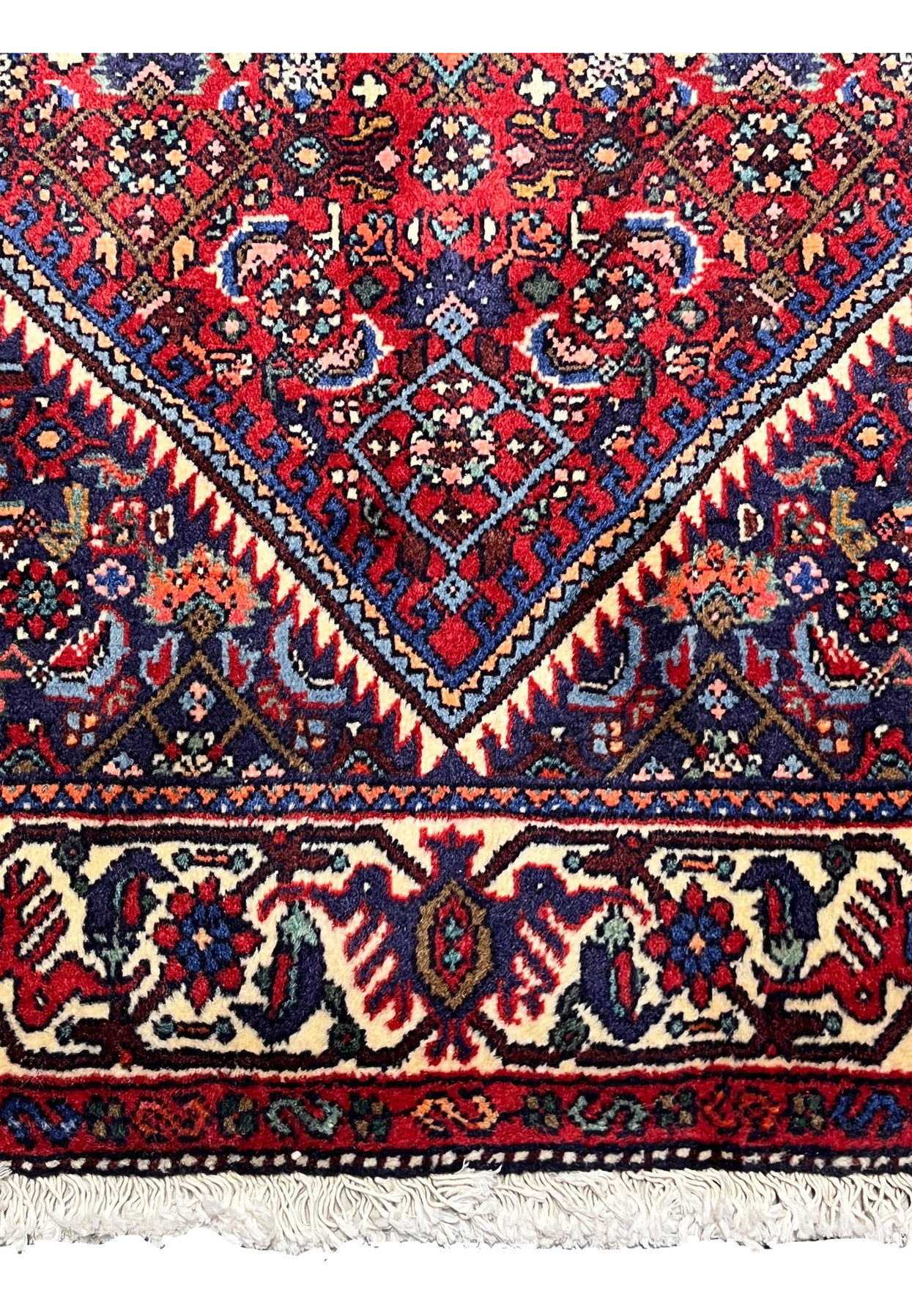 Lower border detail of a Persian Gholtogh tribal rug with crisp motifs, ivory accents, and strong geometric rhythm.