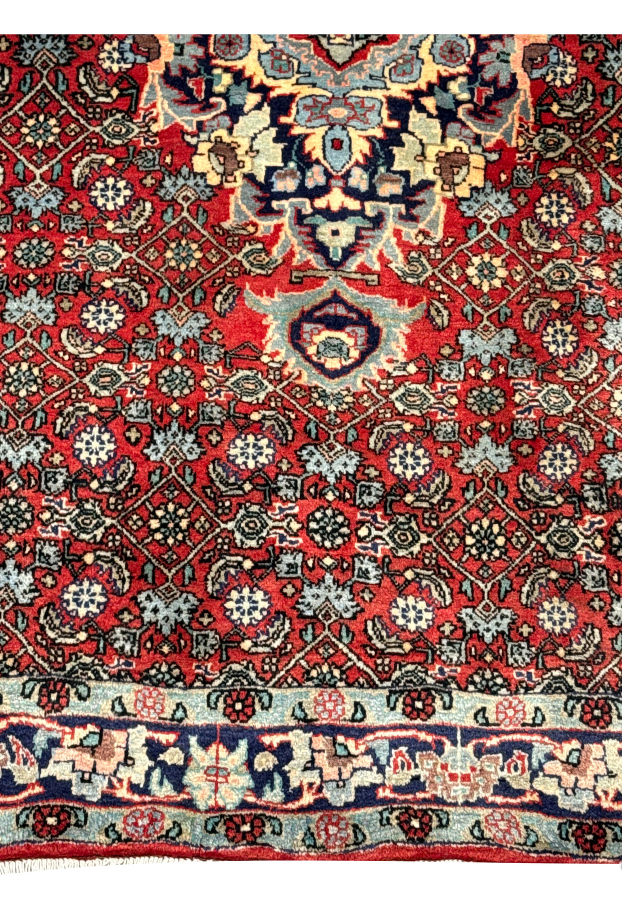 Lower border detail of a Persian Sarough rug showing navy and light blue framing, floral motifs, and precise hand-knotted craftsmanship