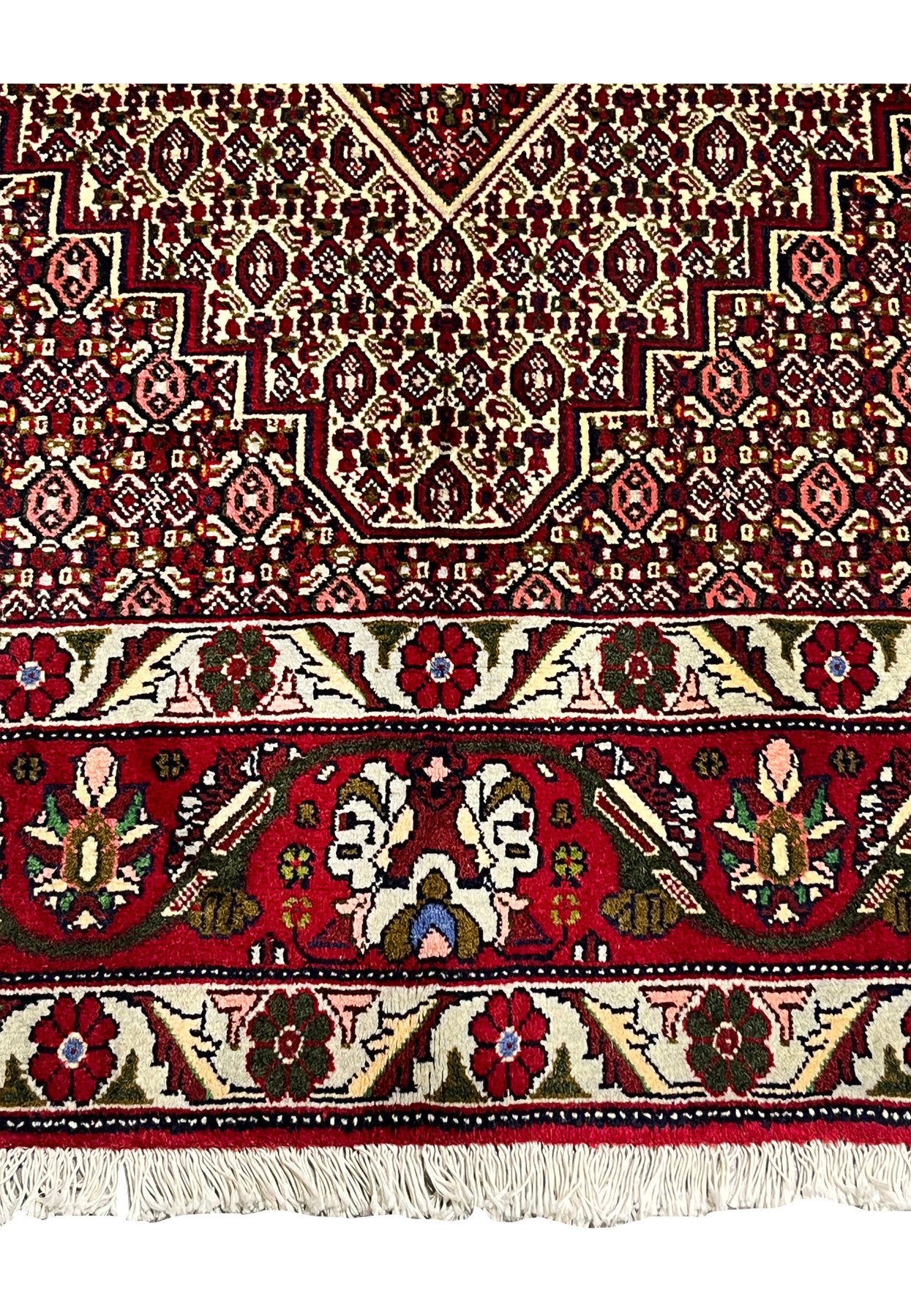 Lower border detail of Persian Senneh rug showing red ground, stylized floral motifs, ivory outlines, olive accents, and crisp geometric framing