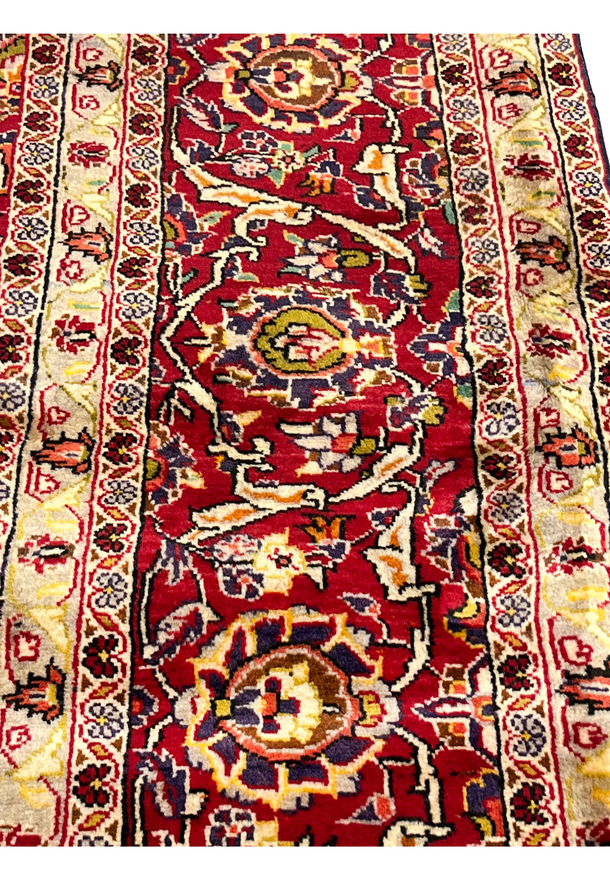 Border close-up of Persian Isfahan rug highlighting delicate floral rosettes, crisp outlines, ivory background, and precise hand knotted detail