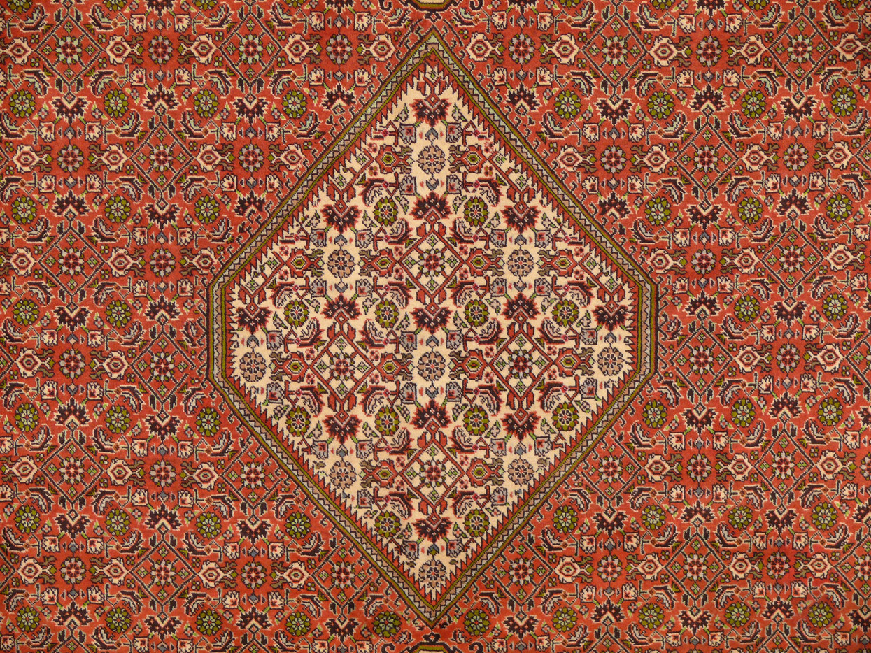8'2" x 11'4" Persian Bijar Rug